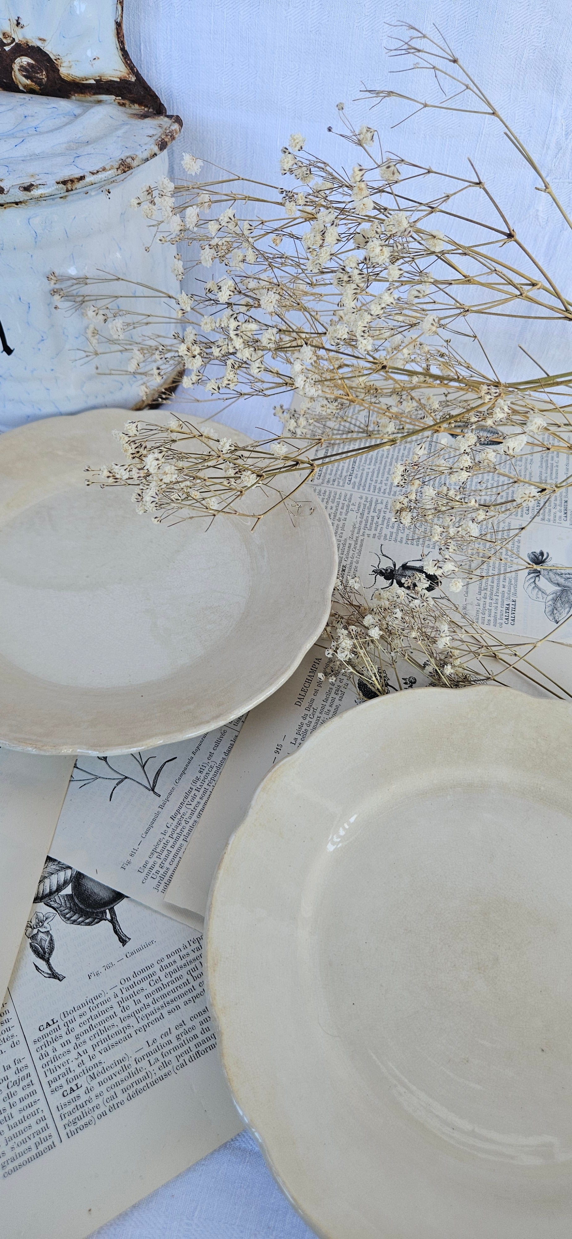 Duo d'assiettes à dessert anciennes Boch La Louvière | Faïence belge ivoire