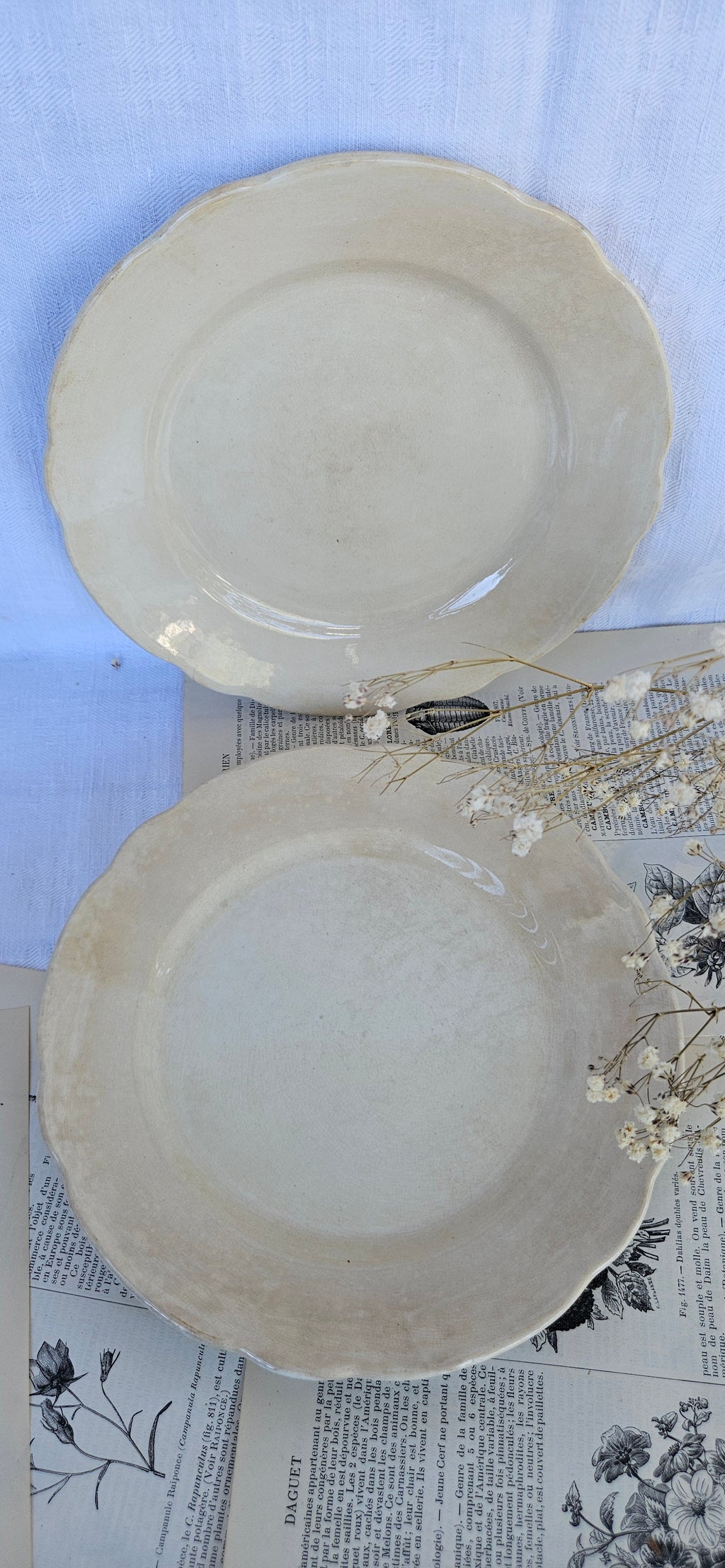 Duo d'assiettes à dessert anciennes Boch La Louvière | Faïence belge ivoire