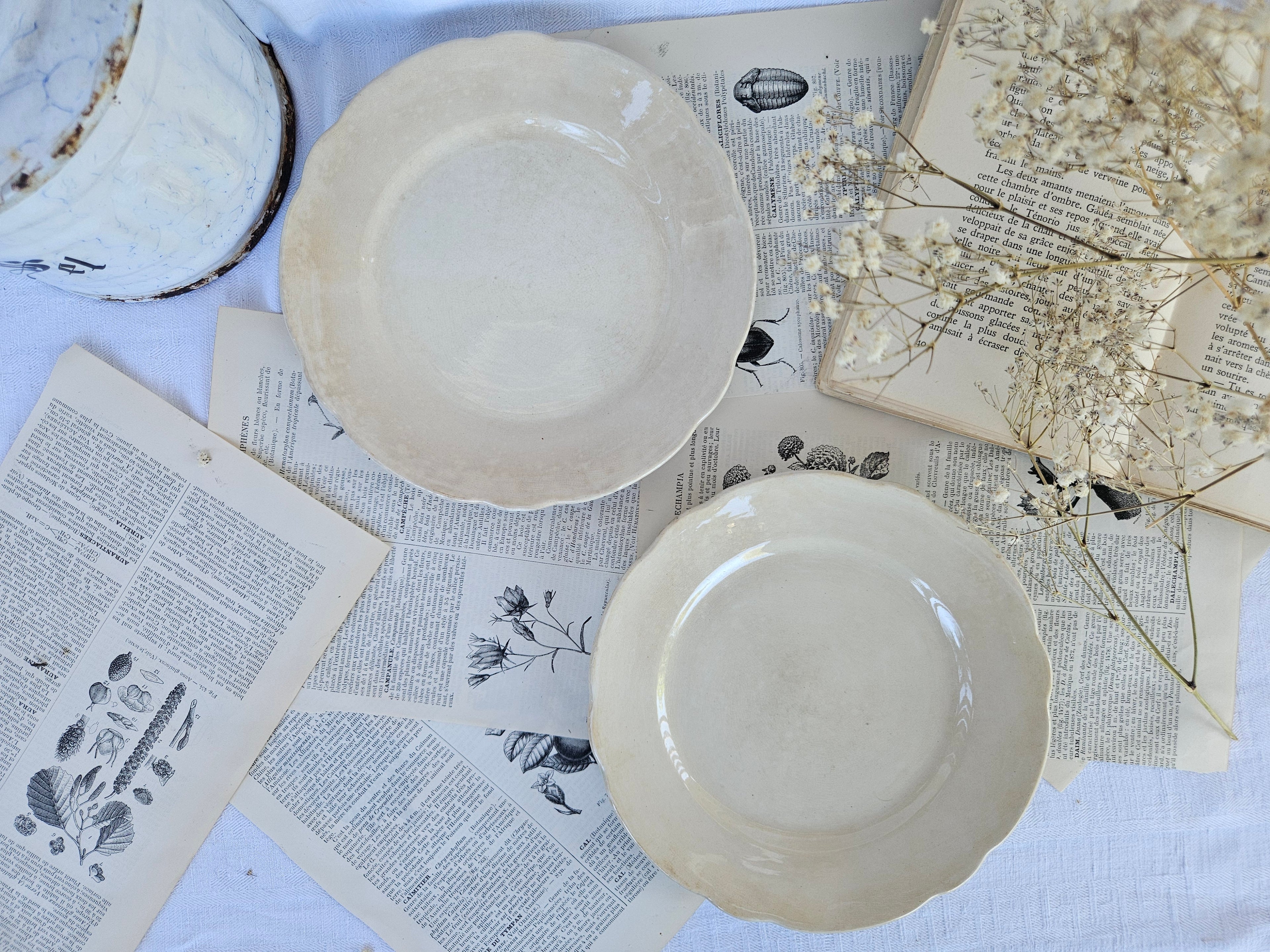 Duo d'assiettes à dessert anciennes Boch La Louvière | Faïence belge ivoire