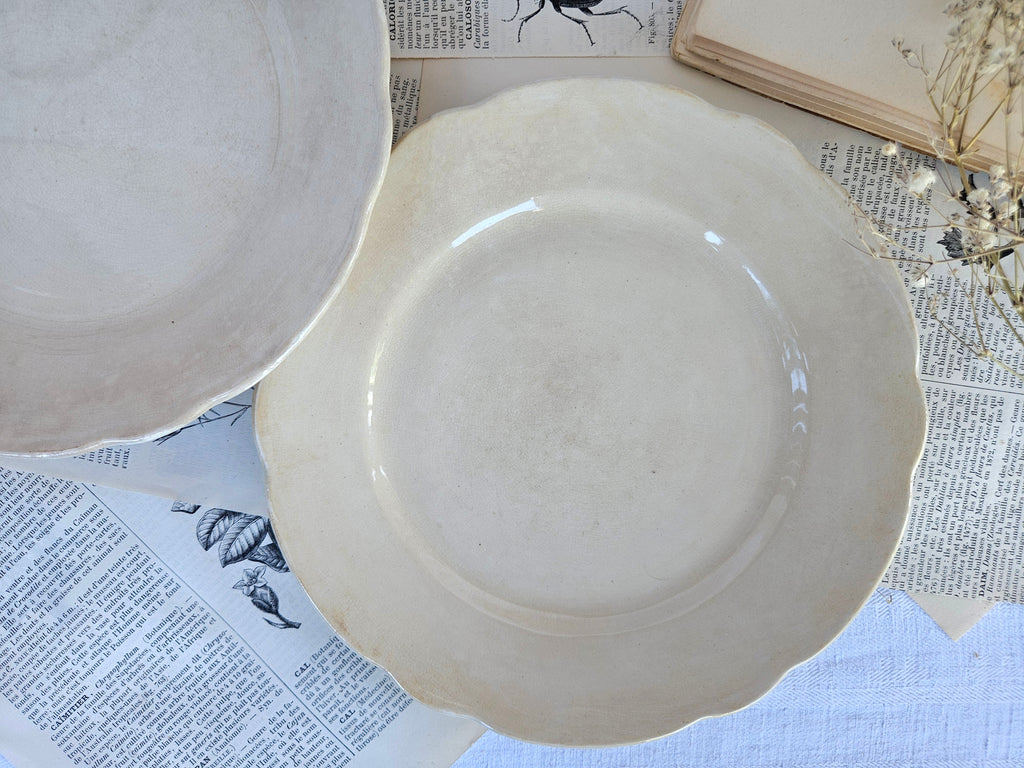 Duo d'assiettes à dessert anciennes Boch La Louvière | Faïence belge ivoire
