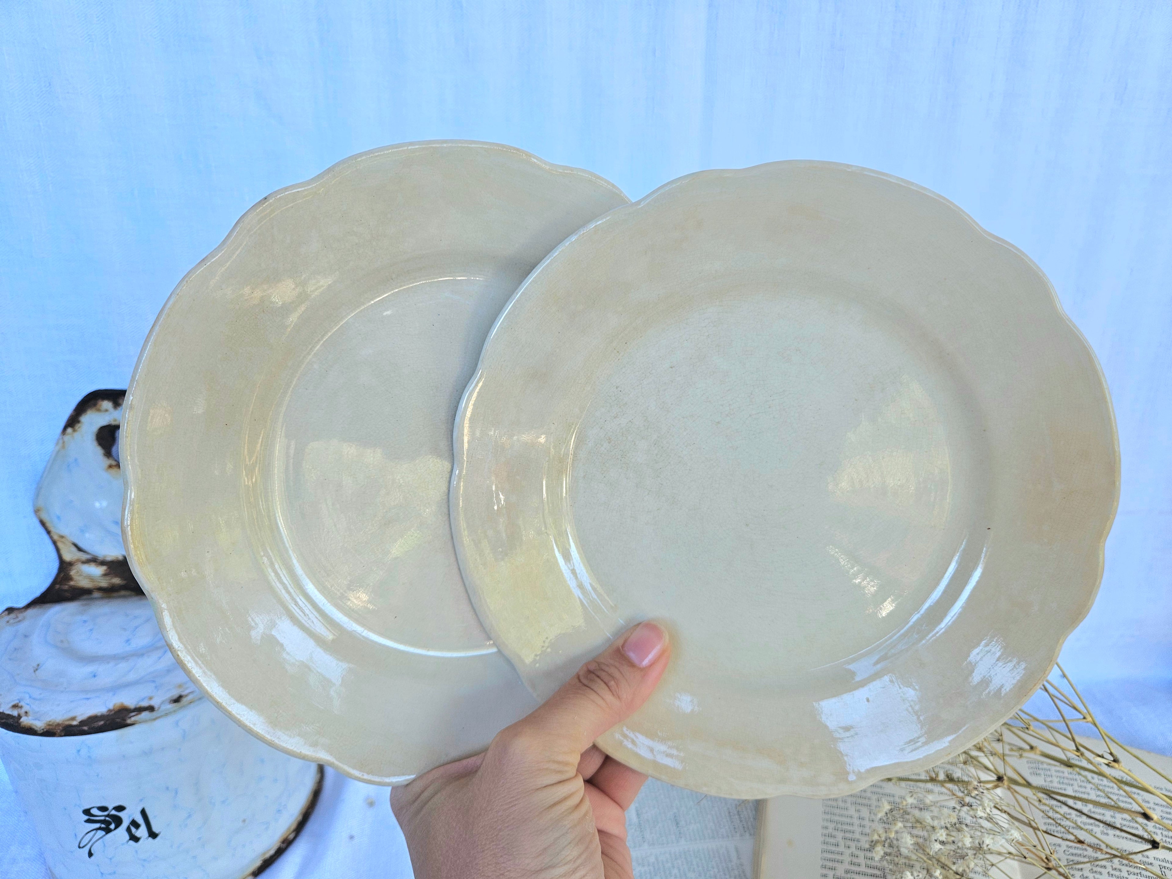 Duo d'assiettes à dessert anciennes Boch La Louvière | Faïence belge ivoire