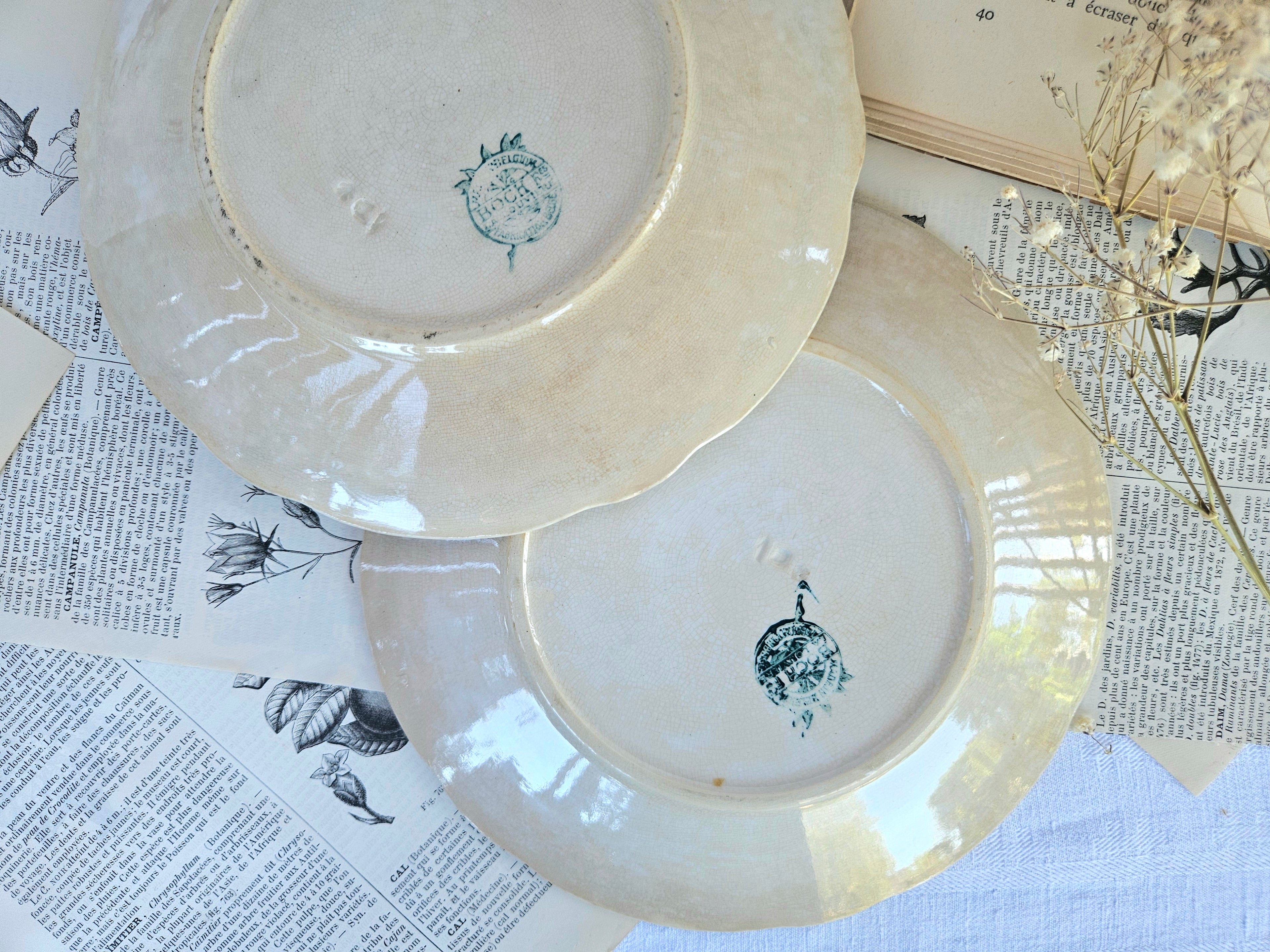 Duo d'assiettes à dessert anciennes Boch La Louvière | Faïence belge ivoire