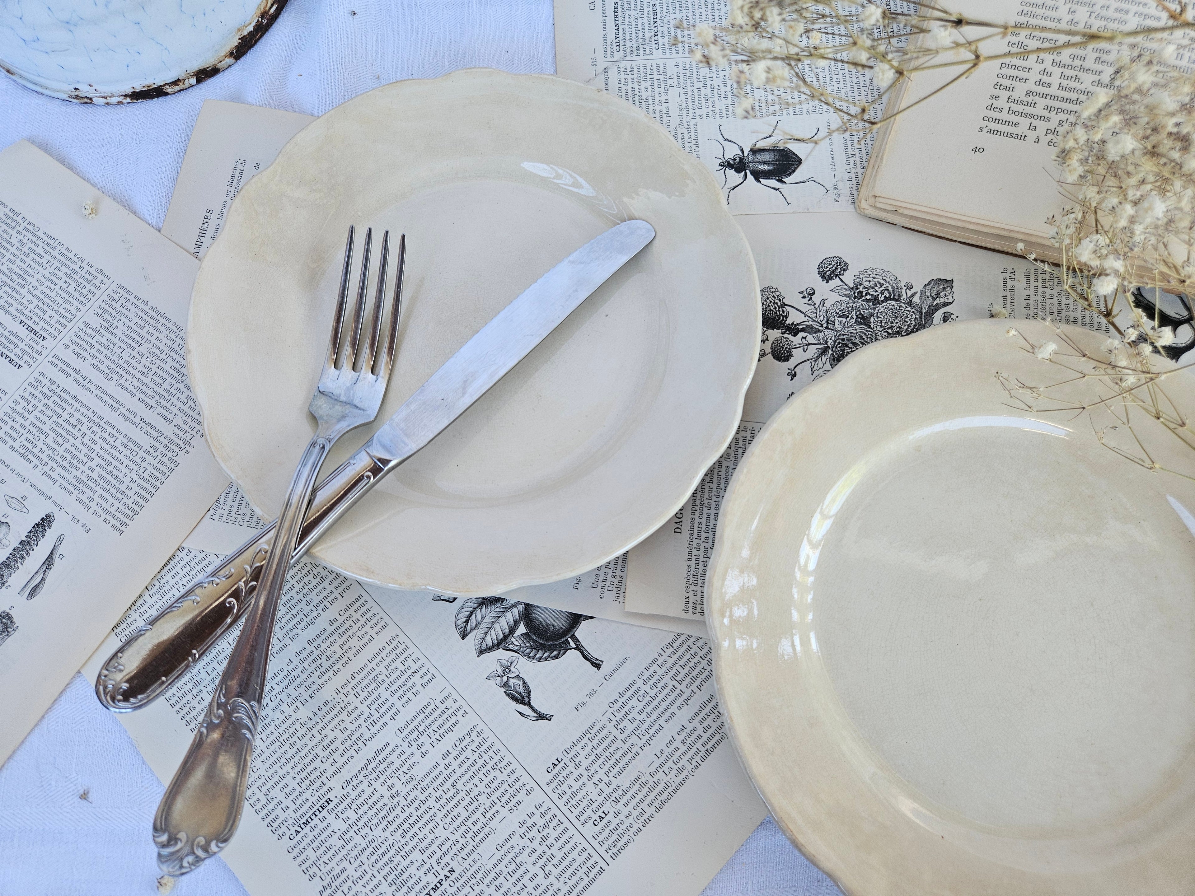 Duo d'assiettes à dessert anciennes Boch La Louvière | Faïence belge ivoire