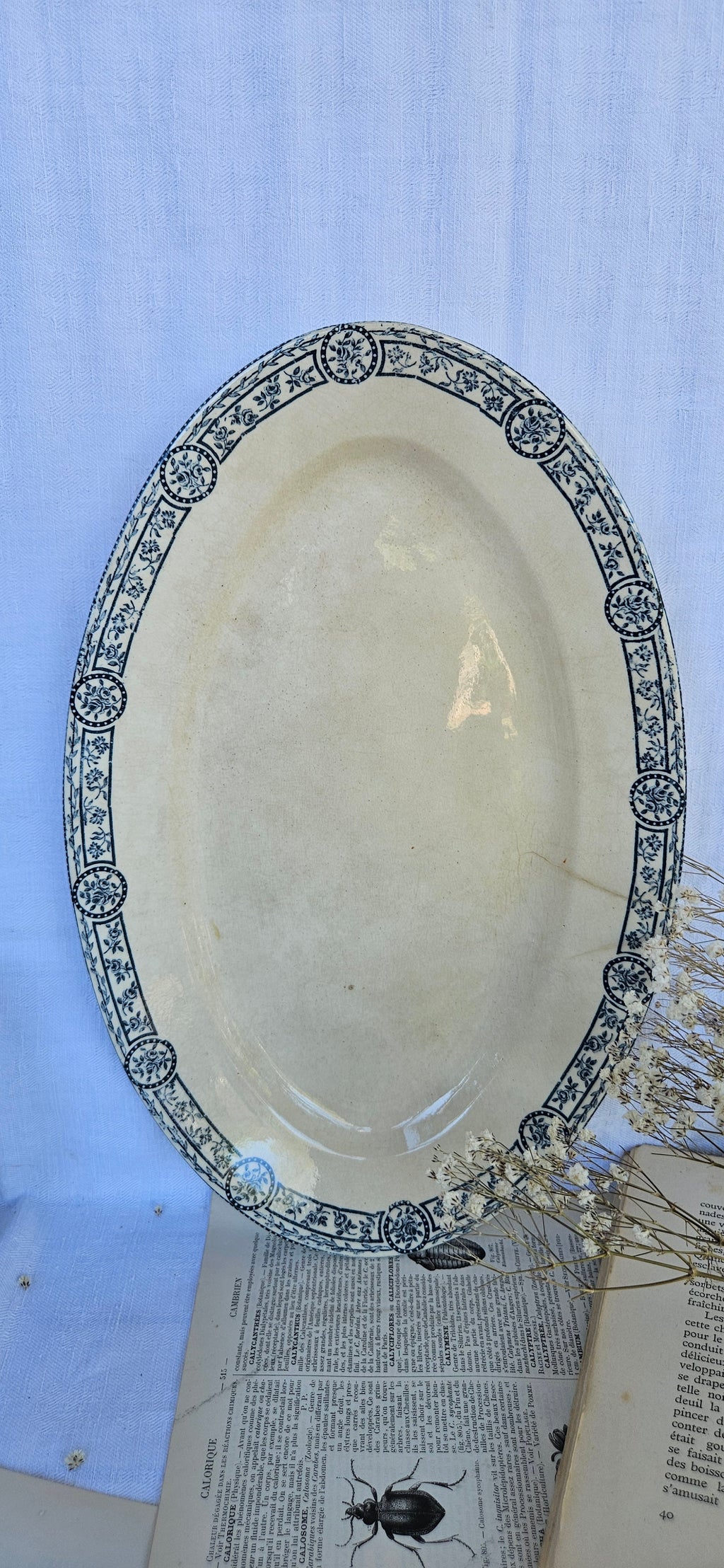 Grand plat ovale ancien E.C. Salins Bristol | Terre de fer française