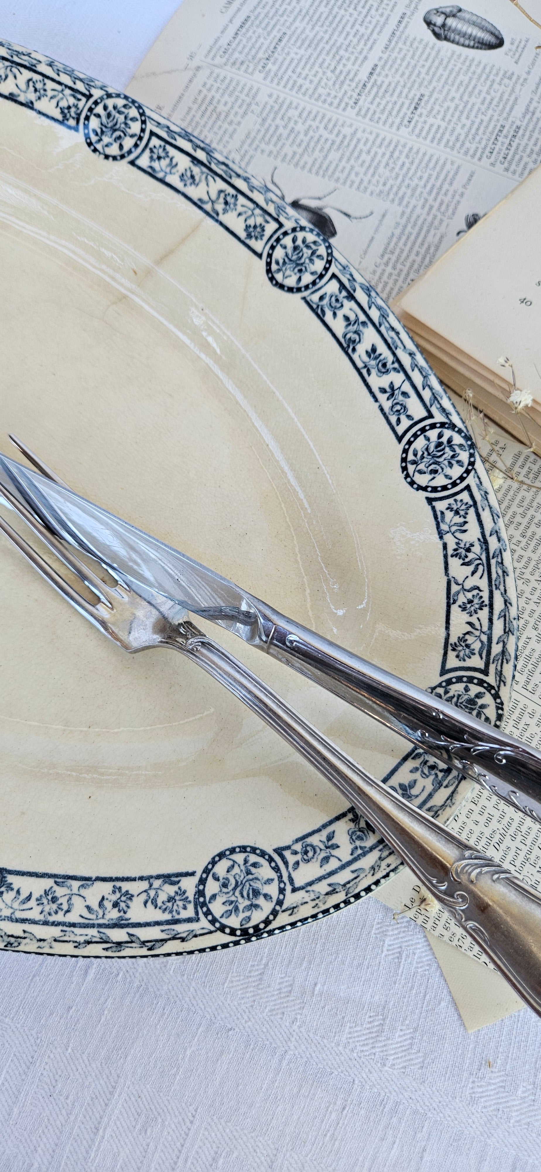 Grand plat ovale ancien E.C. Salins Bristol | Terre de fer française