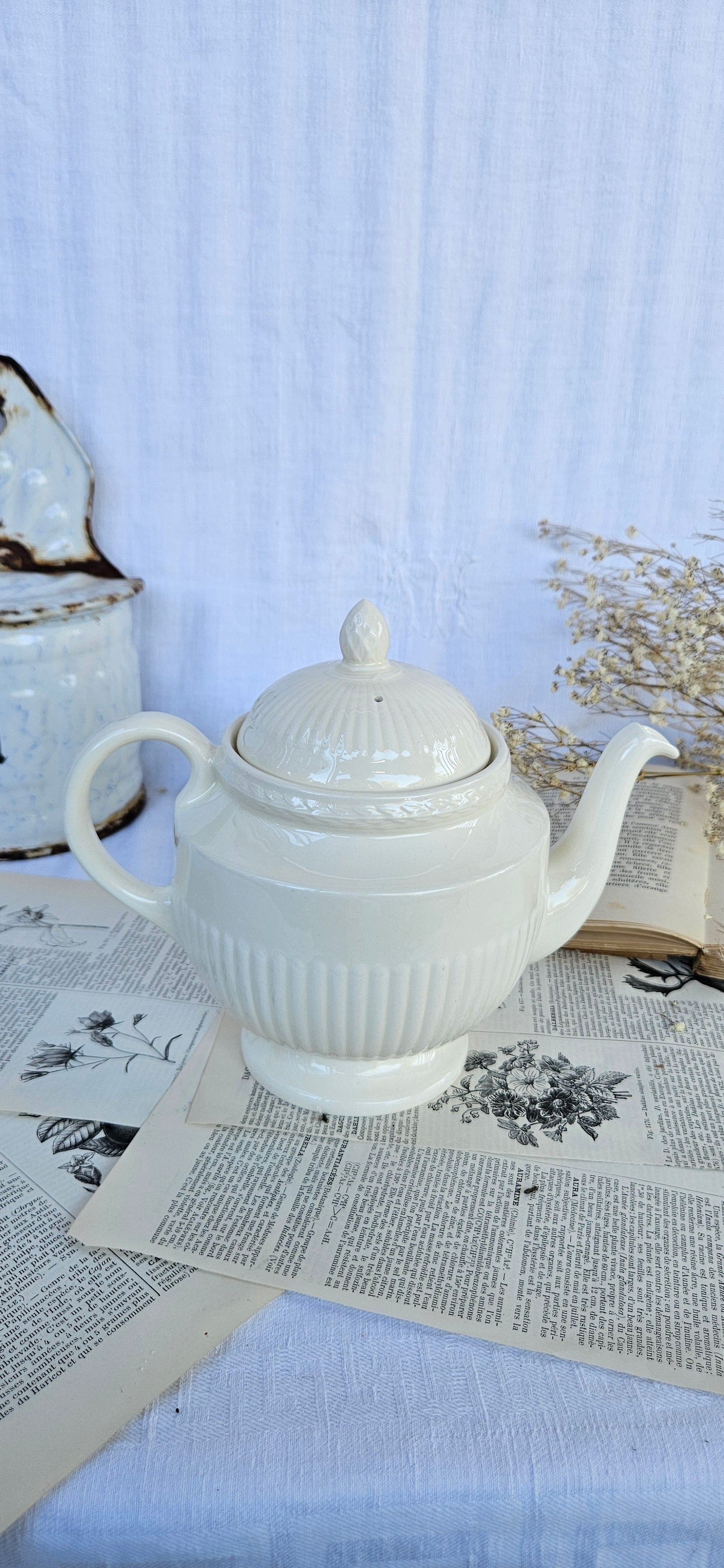 Théière Wedgwood Edme vintage en faïence fine blanche – Made in England