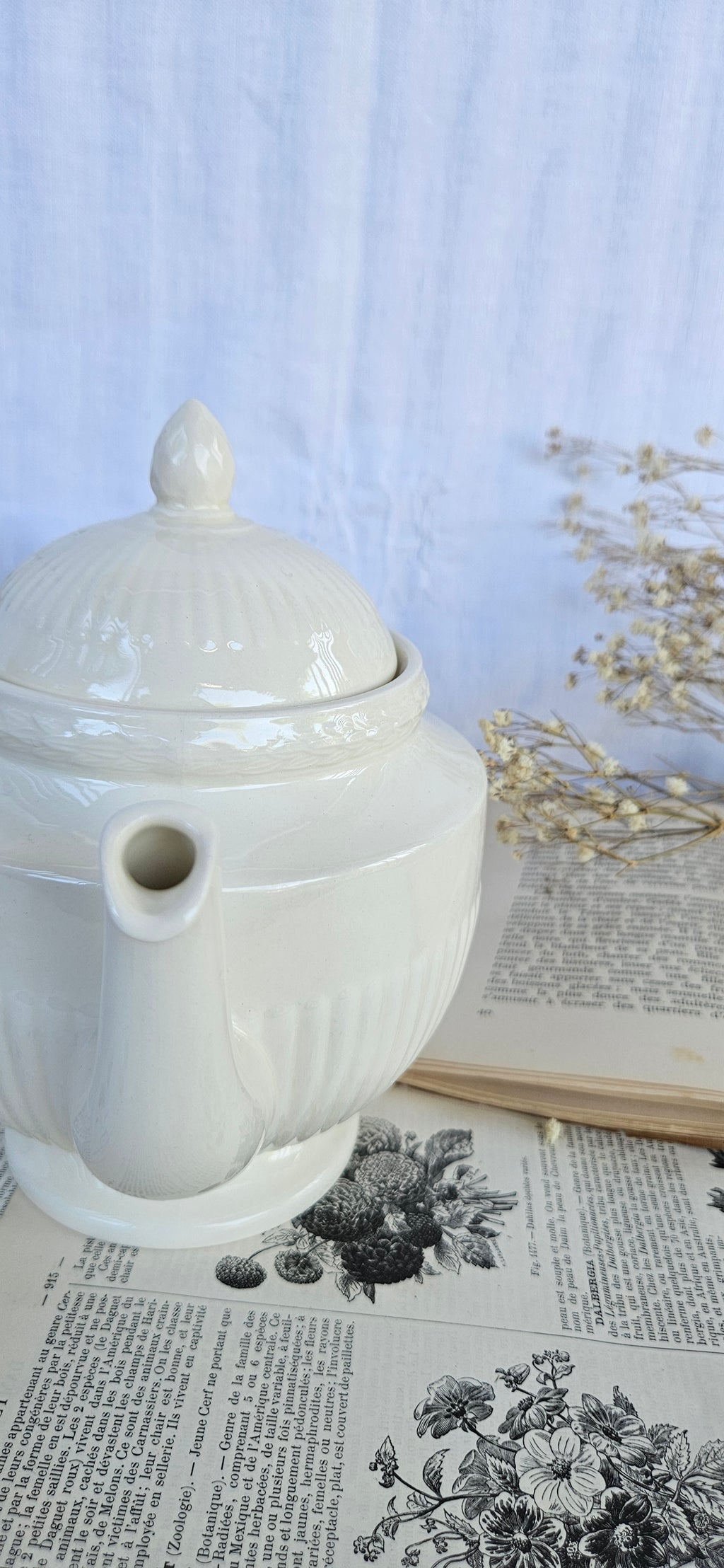 Théière Wedgwood Edme vintage en faïence fine blanche – Made in England