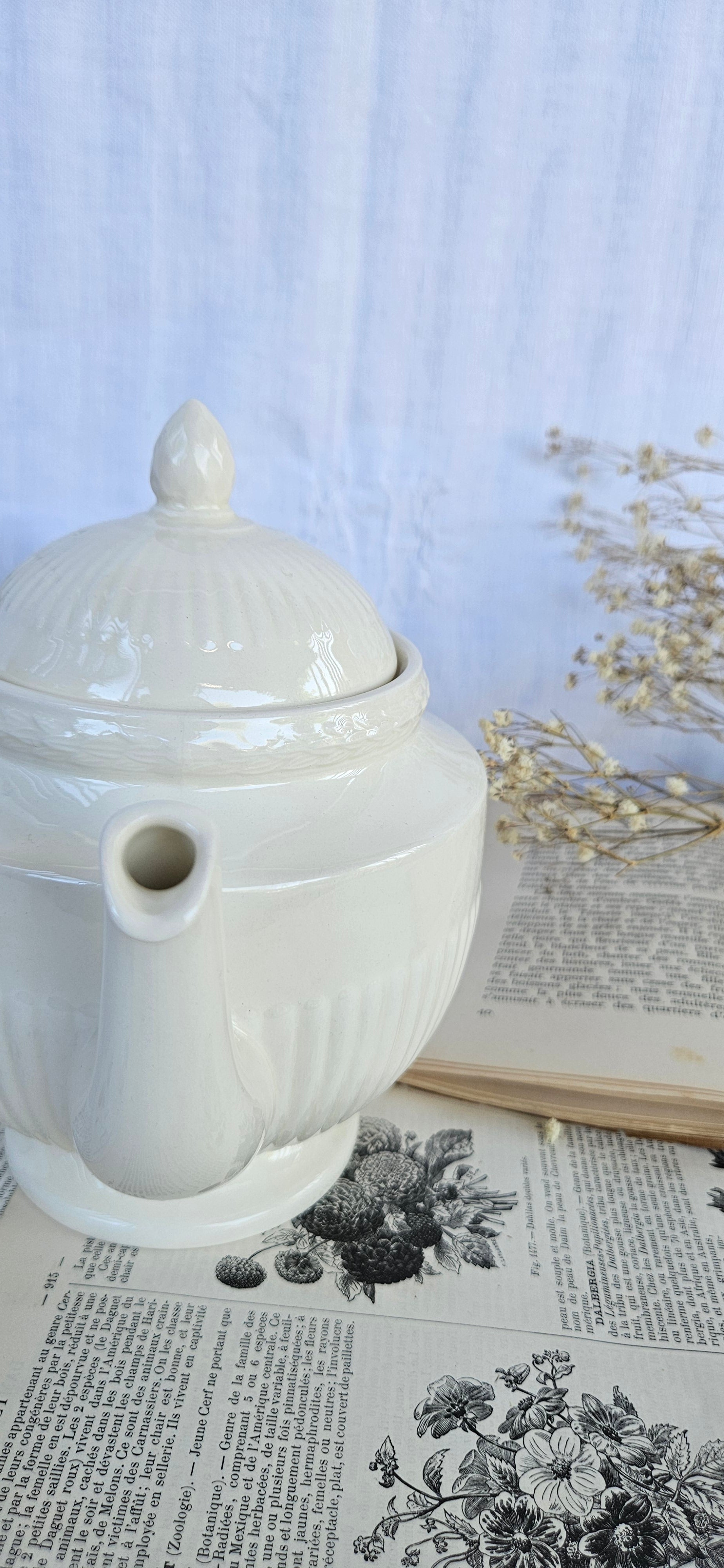 Théière Wedgwood Edme vintage en faïence fine blanche – Made in England