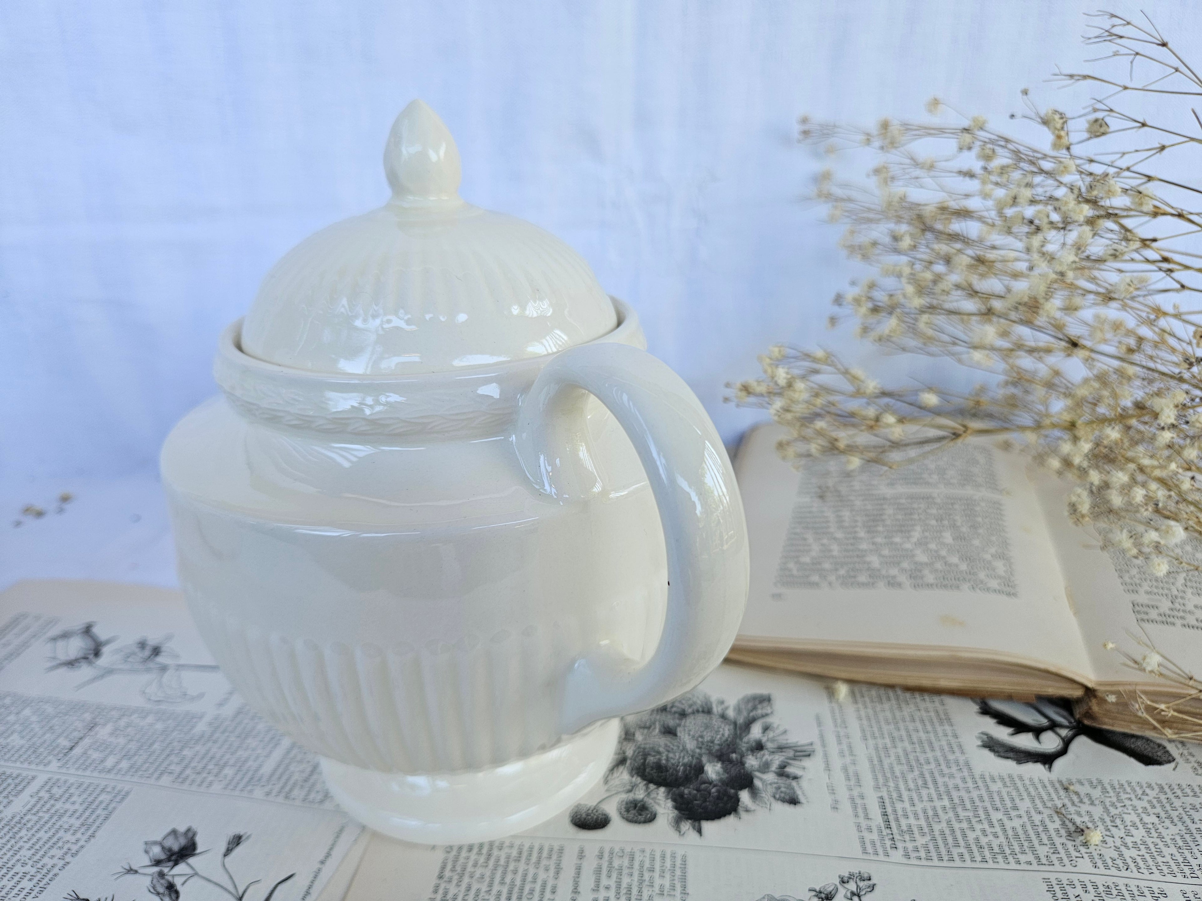 Théière Wedgwood Edme vintage en faïence fine blanche – Made in England
