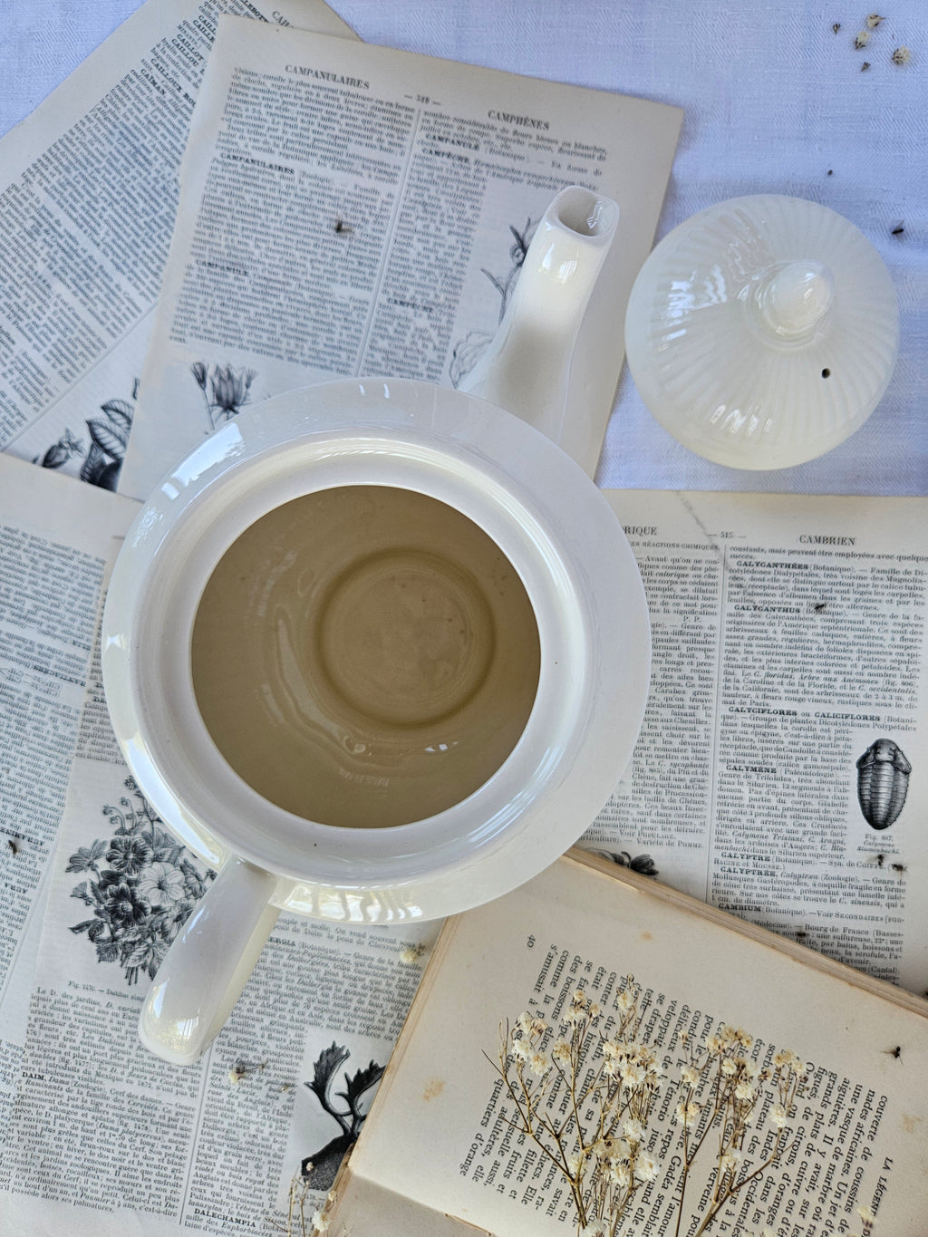 Théière Wedgwood Edme vintage en faïence fine blanche – Made in England