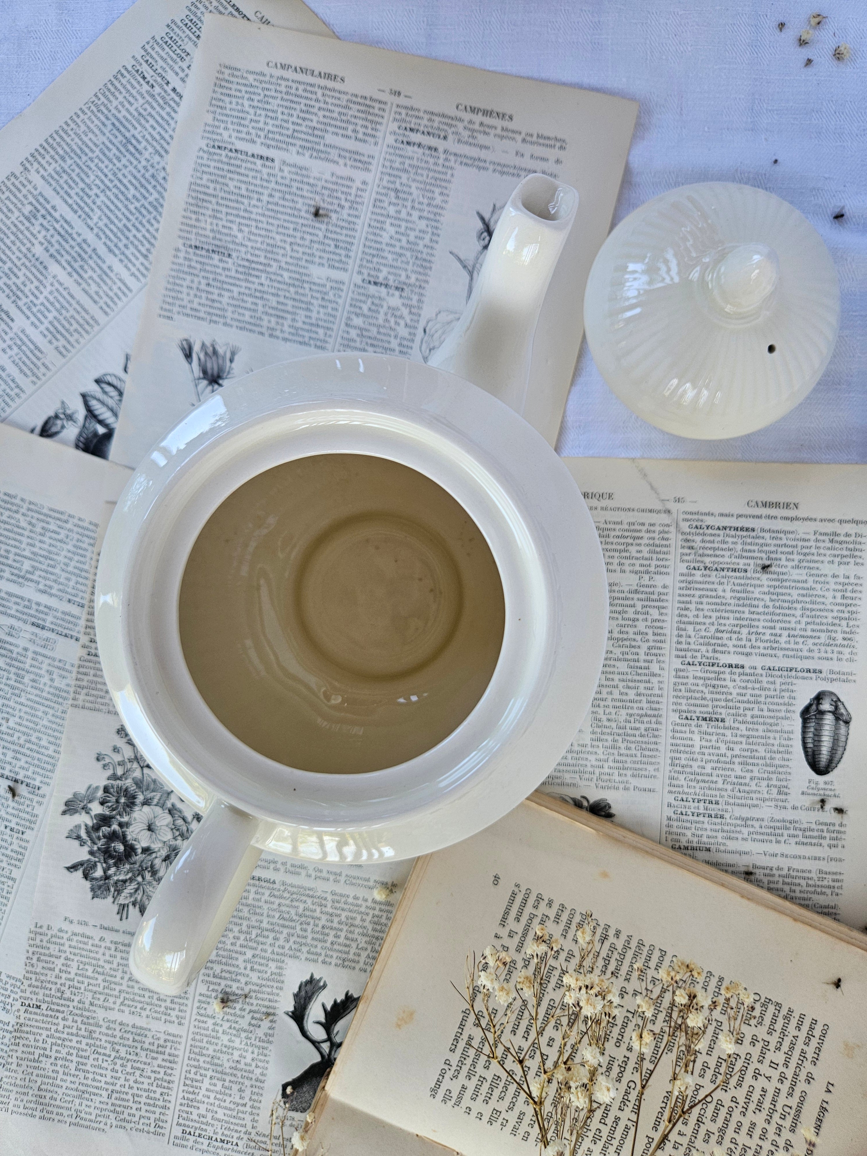 Théière Wedgwood Edme vintage en faïence fine blanche – Made in England