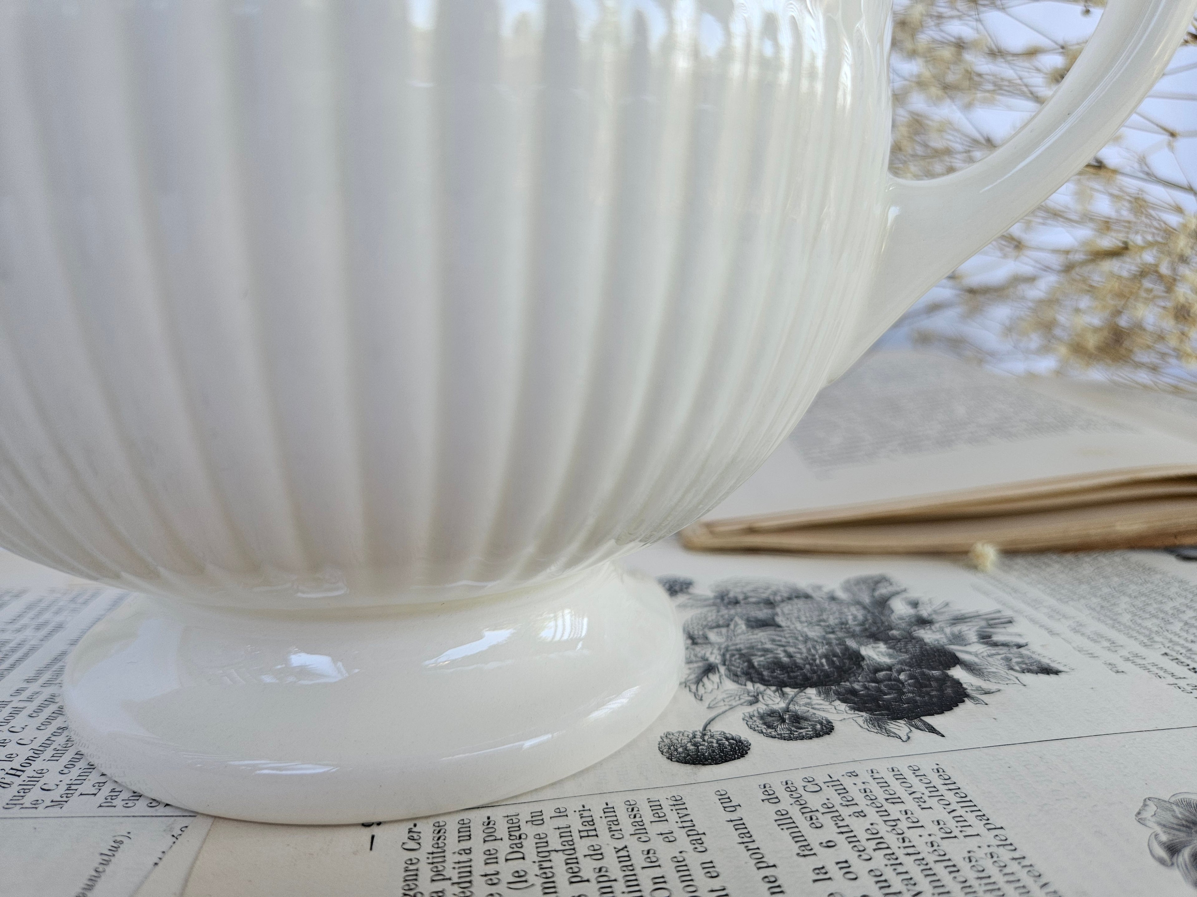 Théière Wedgwood Edme vintage en faïence fine blanche – Made in England