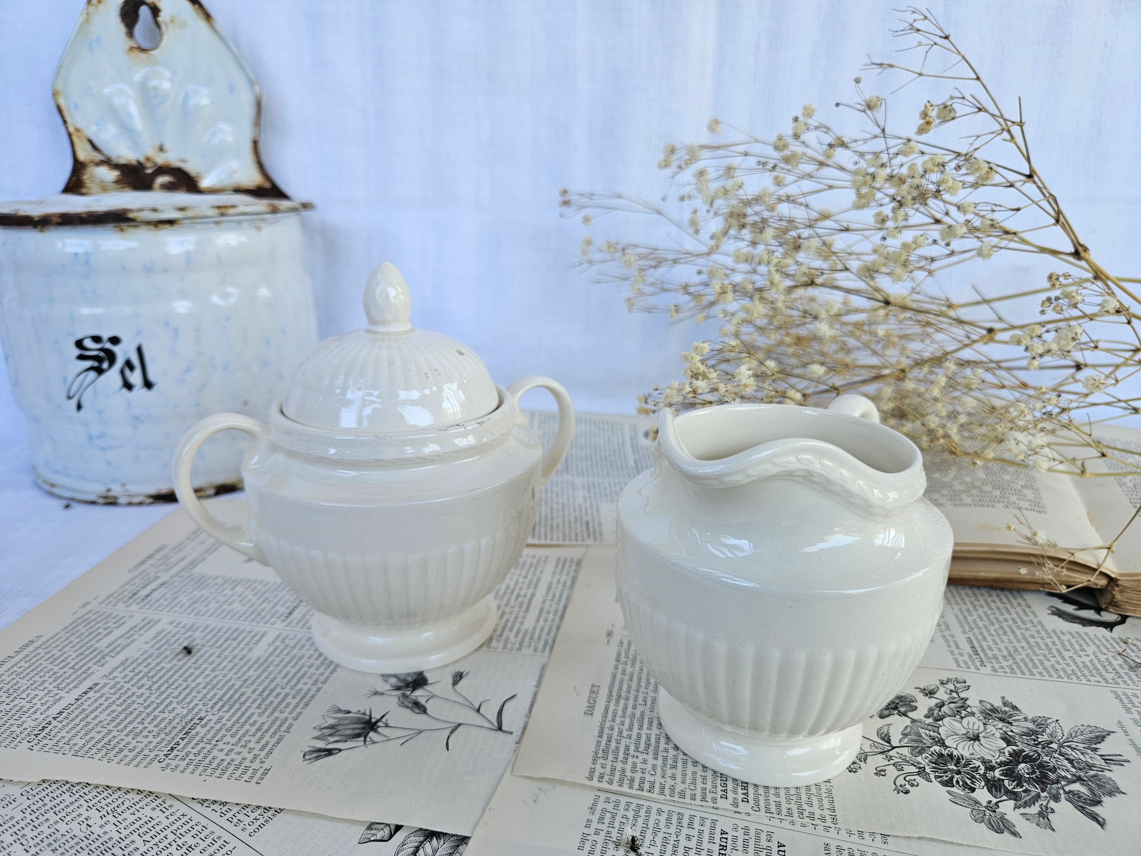 Wedgwood EDME Duo Pot à Lait et Sucrier Blanc Ivoire | Made in England