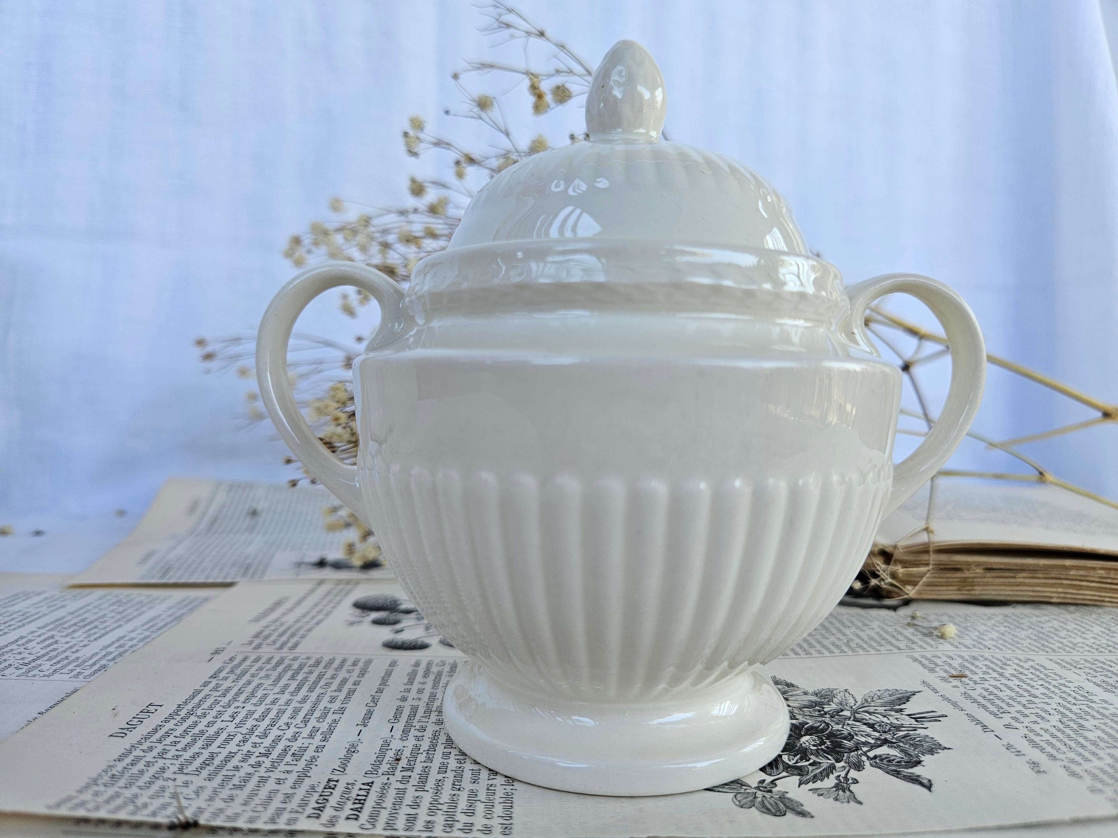 Wedgwood EDME Duo Pot à Lait et Sucrier Blanc Ivoire | Made in England