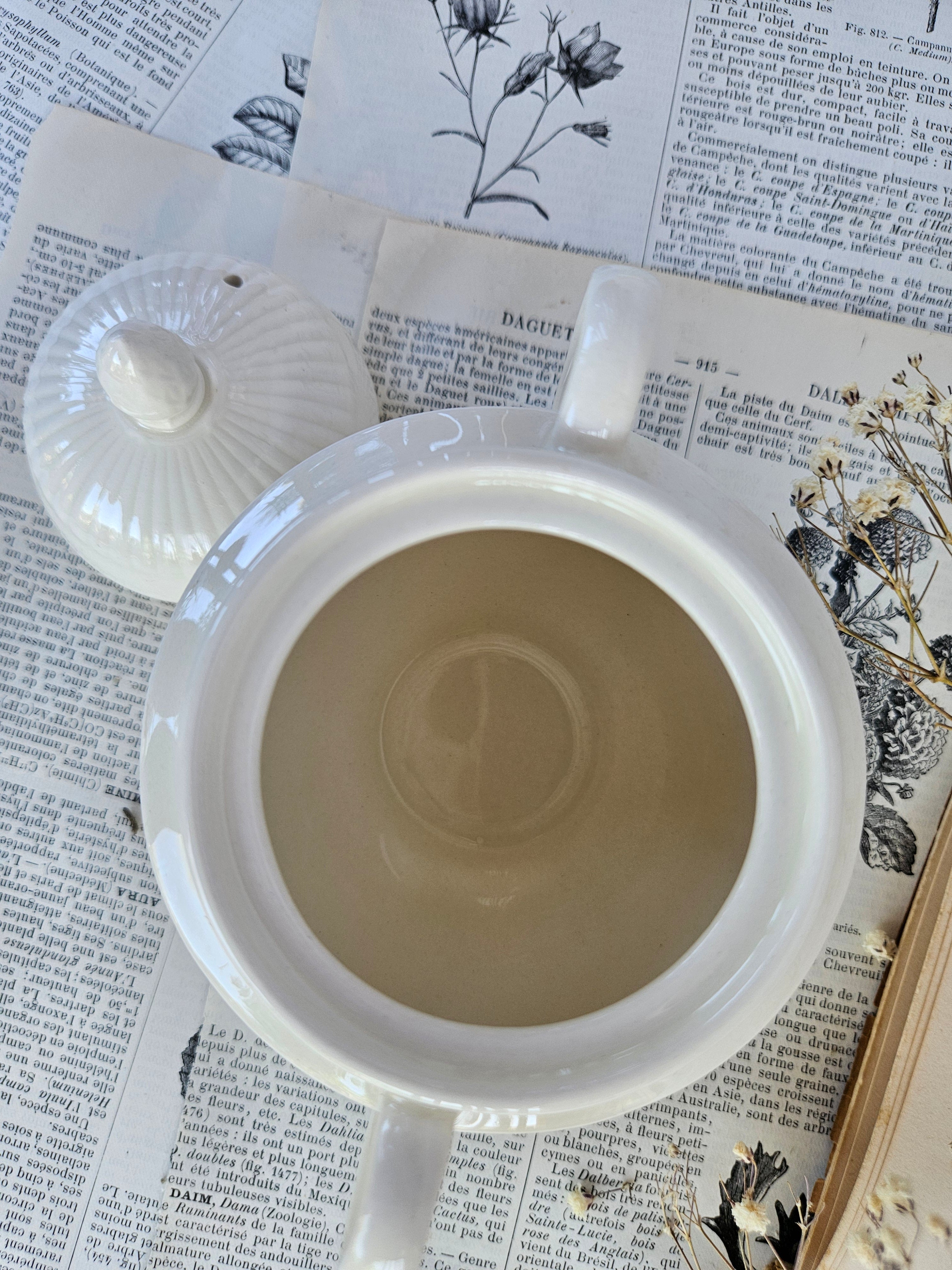 Wedgwood EDME Duo Pot à Lait et Sucrier Blanc Ivoire | Made in England