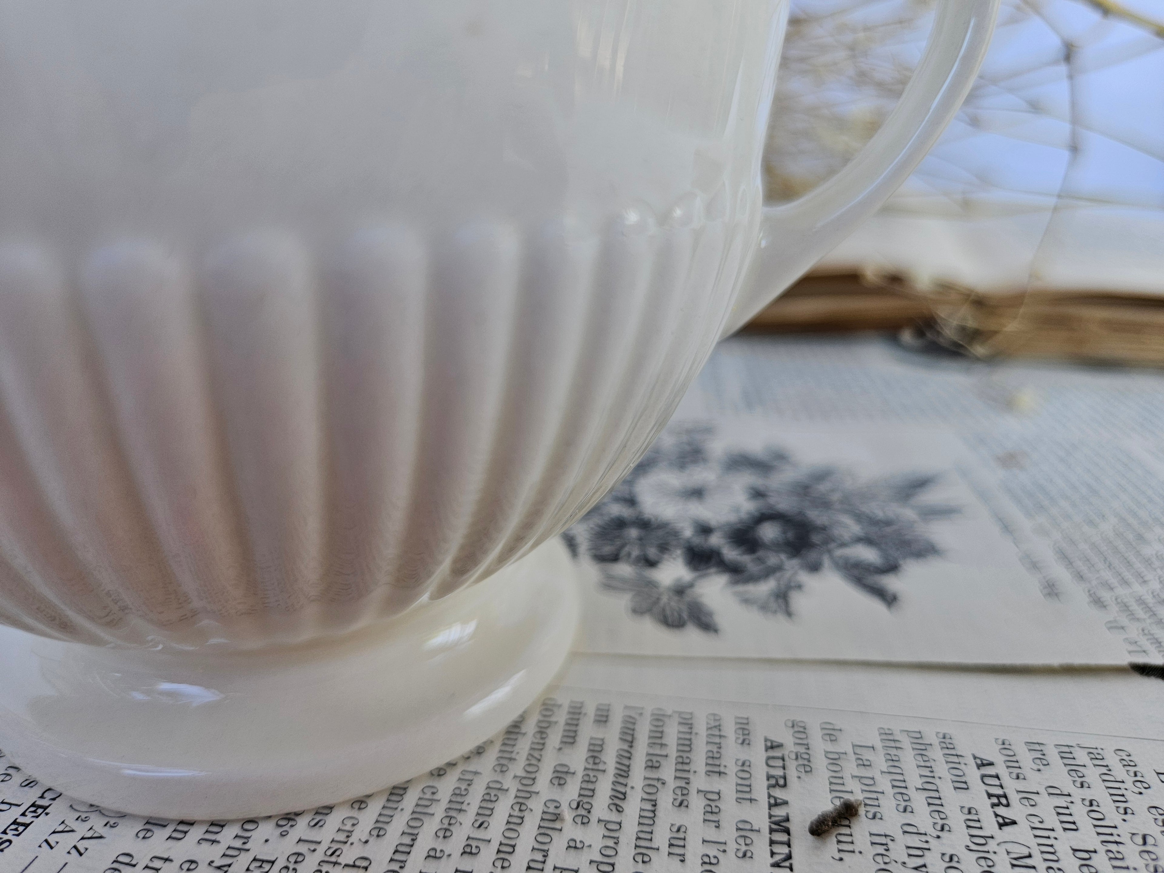 Wedgwood EDME Duo Pot à Lait et Sucrier Blanc Ivoire | Made in England
