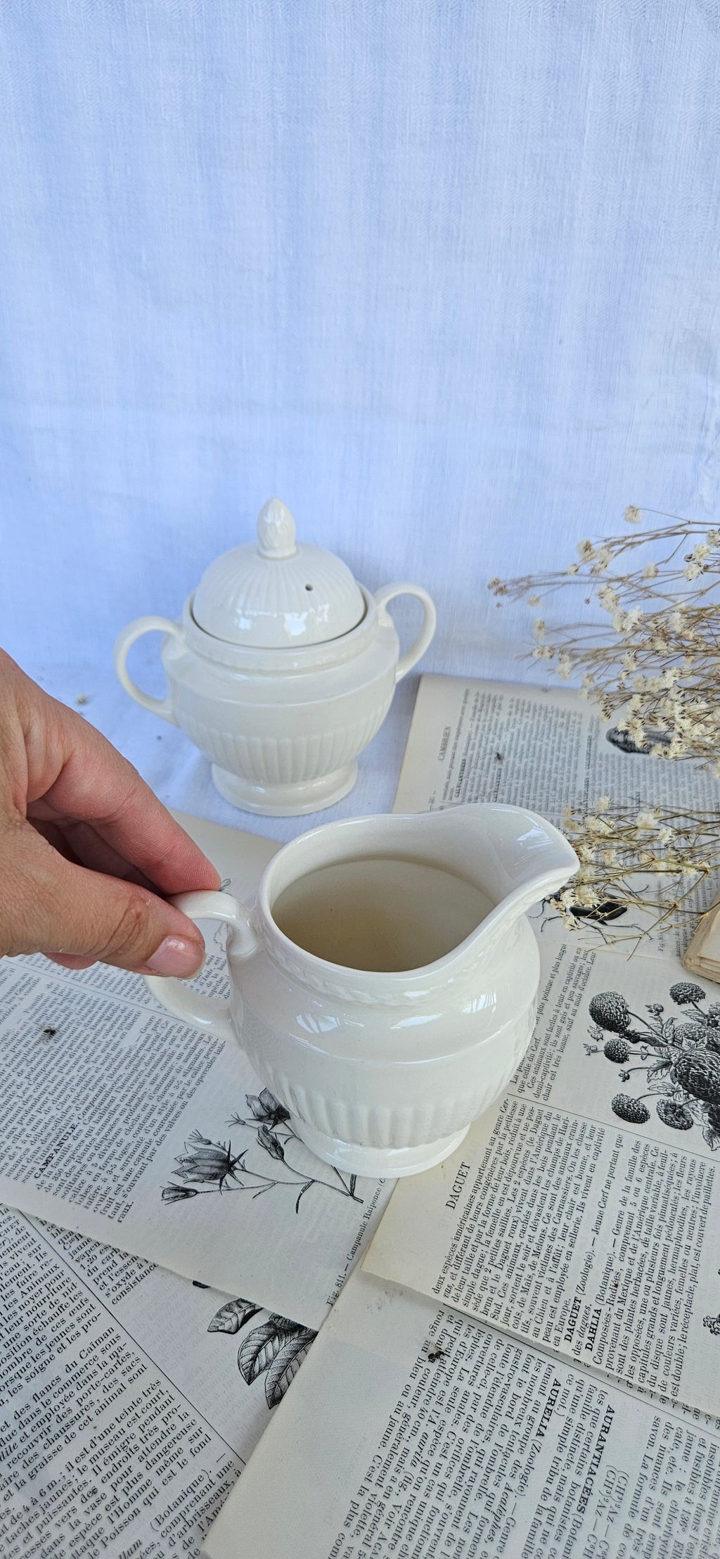 Wedgwood EDME Duo Pot à Lait et Sucrier Blanc Ivoire | Made in England