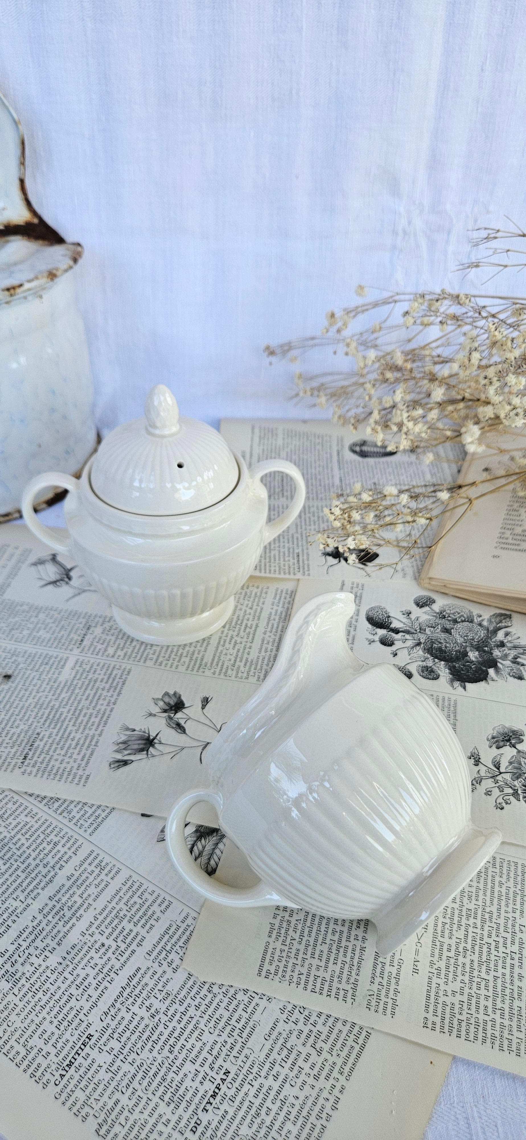 Wedgwood EDME Duo Pot à Lait et Sucrier Blanc Ivoire | Made in England
