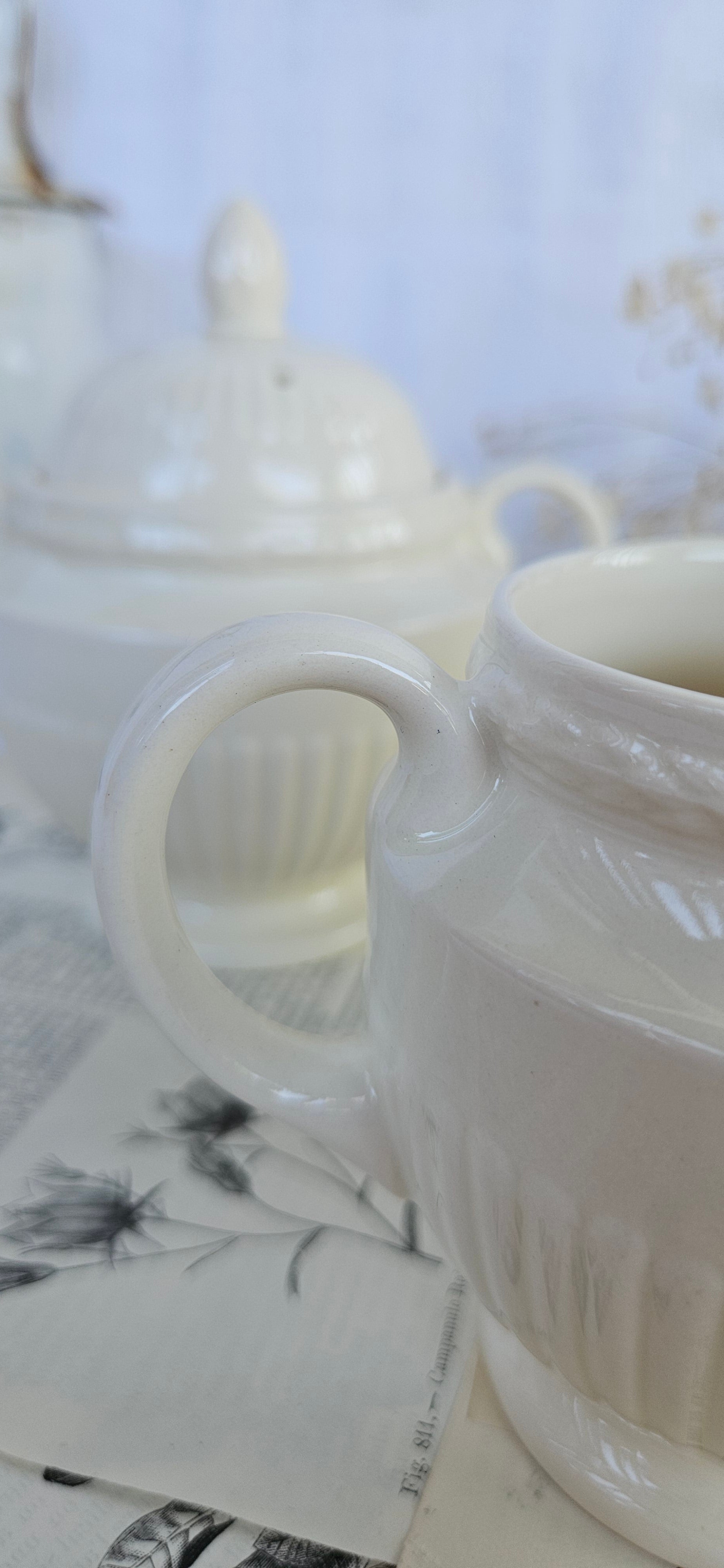 Wedgwood EDME Duo Pot à Lait et Sucrier Blanc Ivoire | Made in England