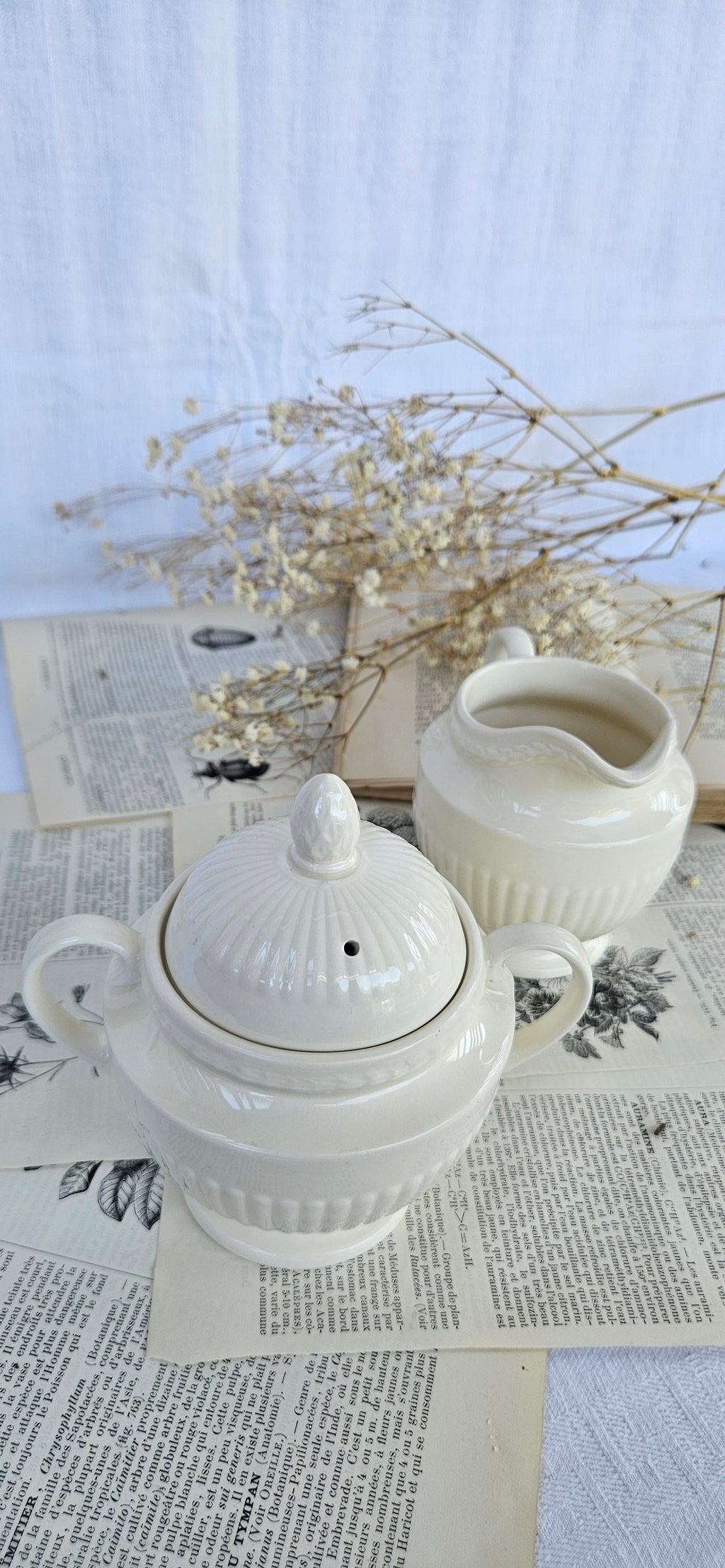 Wedgwood EDME Duo Pot à Lait et Sucrier Blanc Ivoire | Made in England
