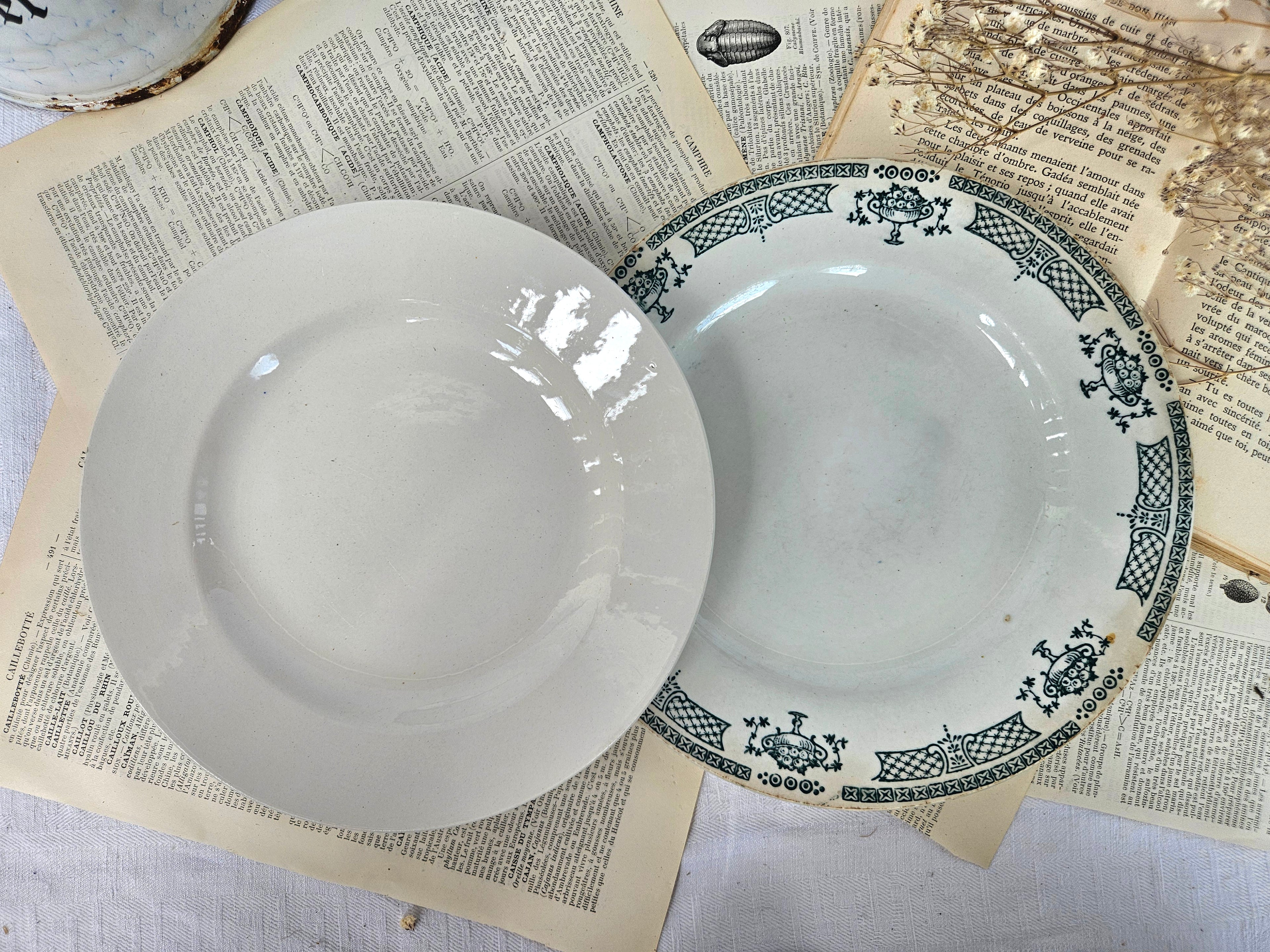 Duo d'assiettes anciennes dépareillées Saint-Amand Terre de Fer & Boch