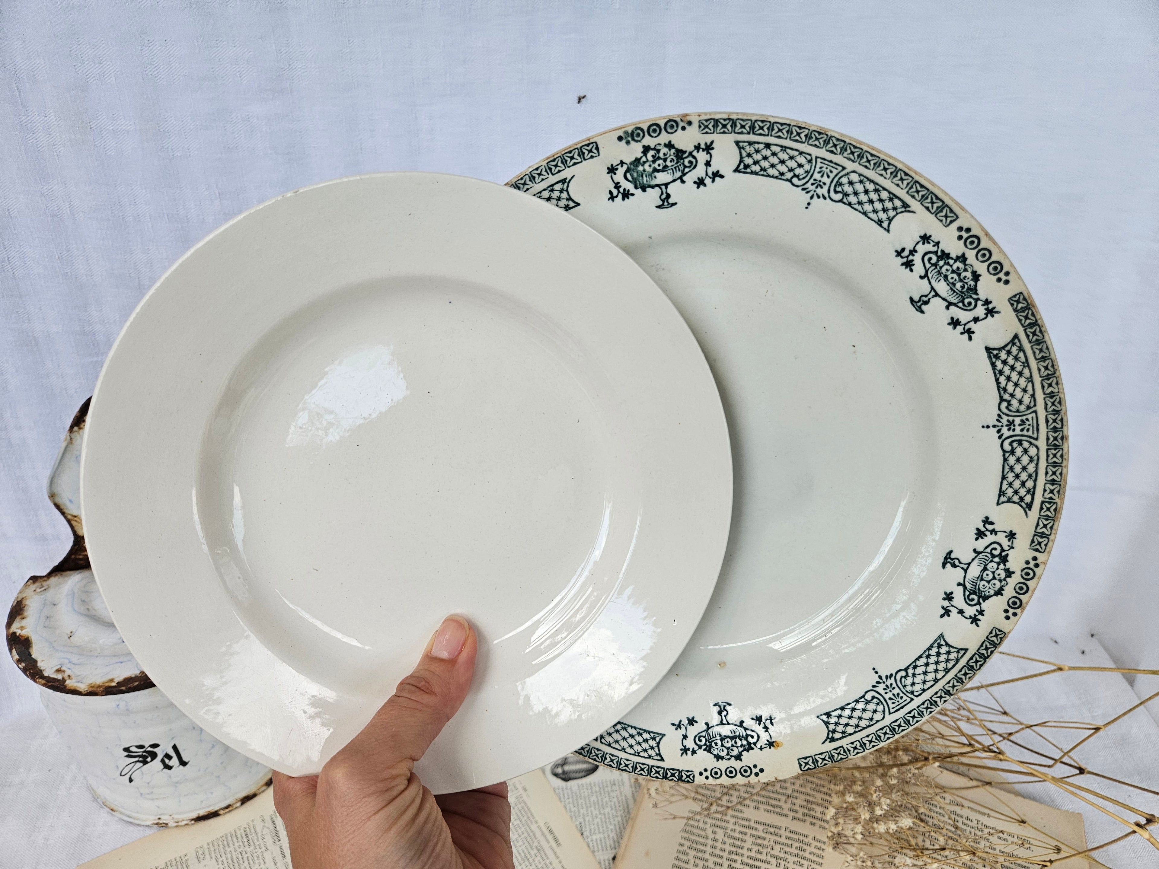 Duo d'assiettes anciennes dépareillées Saint-Amand Terre de Fer & Boch