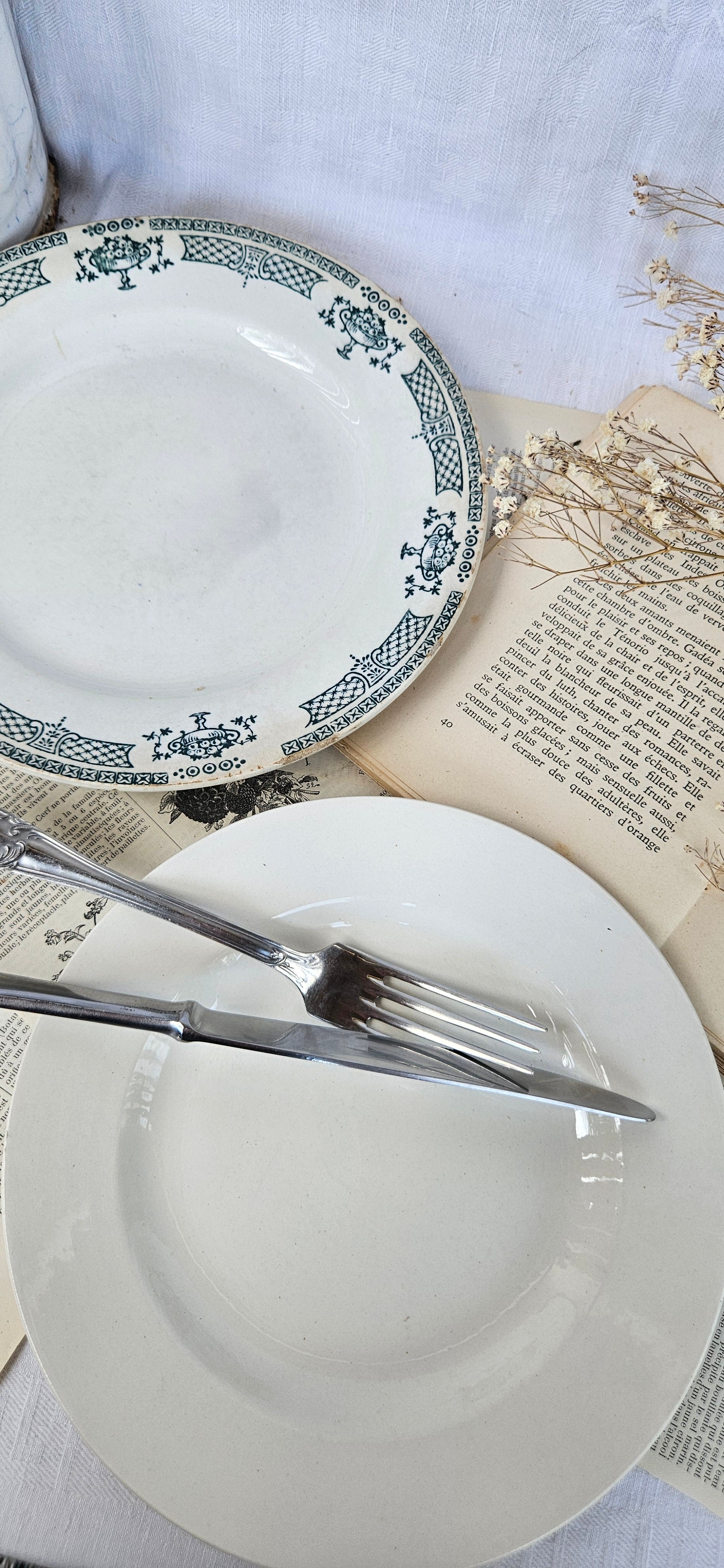 Duo d'assiettes anciennes dépareillées Saint-Amand Terre de Fer & Boch