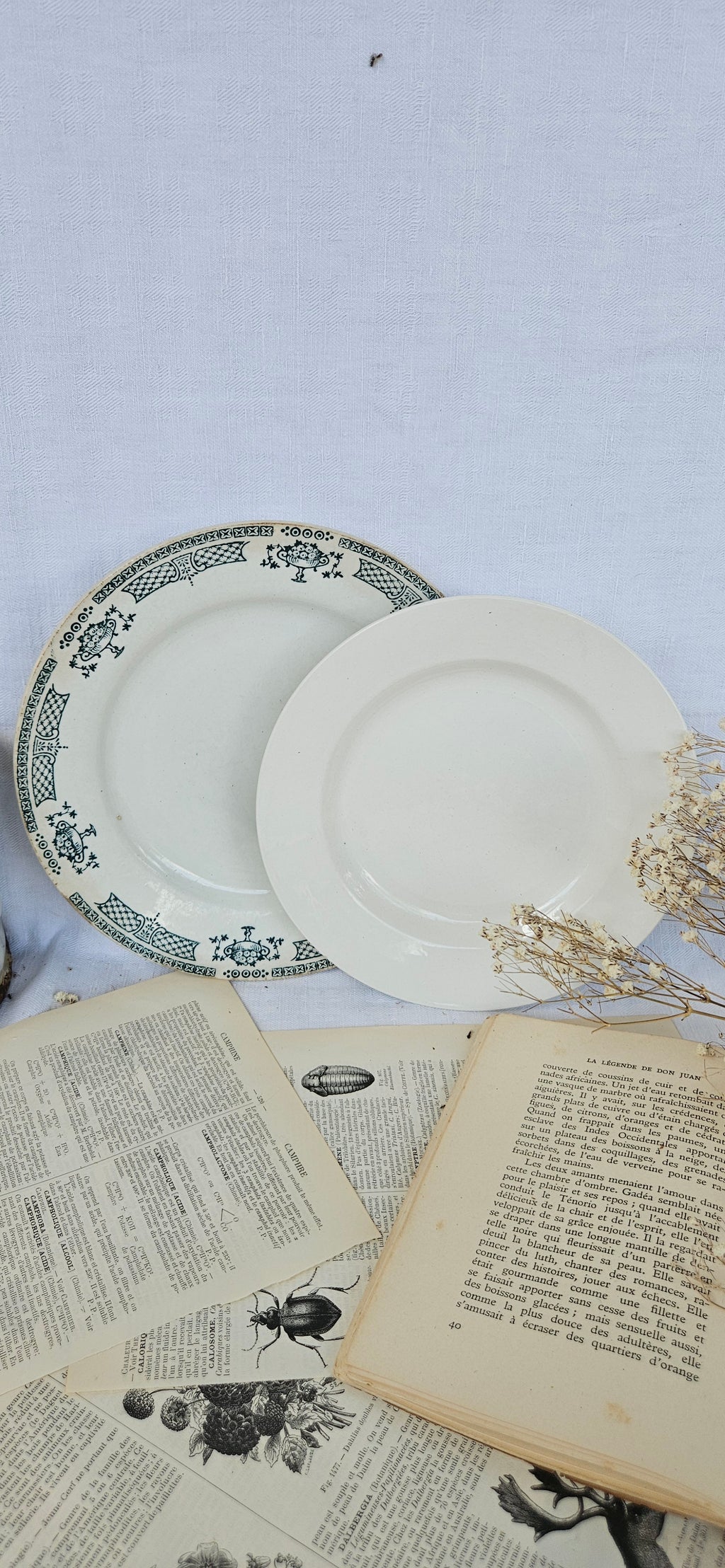 Duo d'assiettes anciennes dépareillées Saint-Amand Terre de Fer & Boch