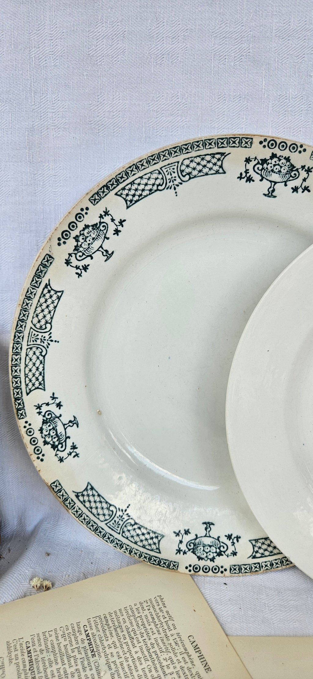 Duo d'assiettes anciennes dépareillées Saint-Amand Terre de Fer & Boch