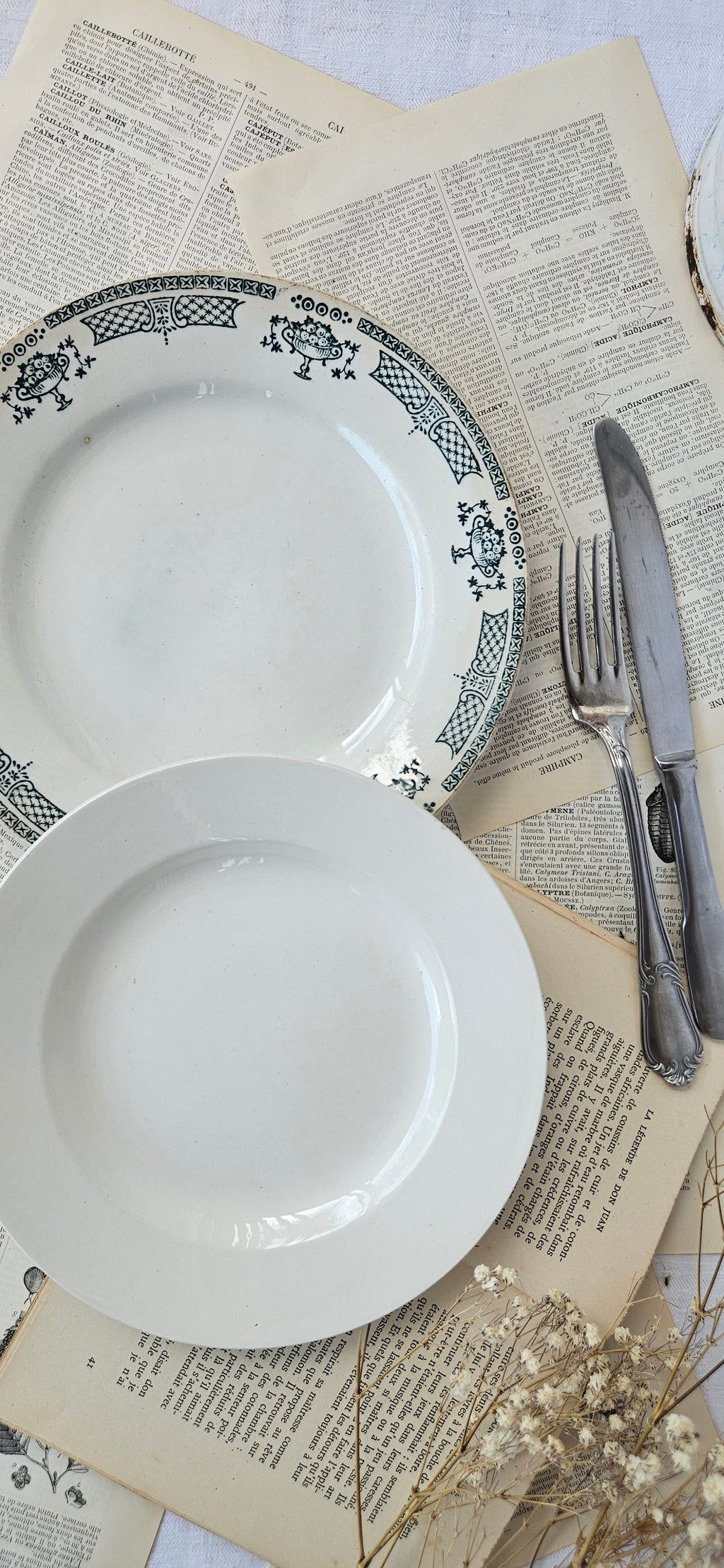 Duo d'assiettes anciennes dépareillées Saint-Amand Terre de Fer & Boch