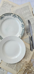 Duo d'assiettes anciennes dépareillées Saint-Amand Terre de Fer & Boch