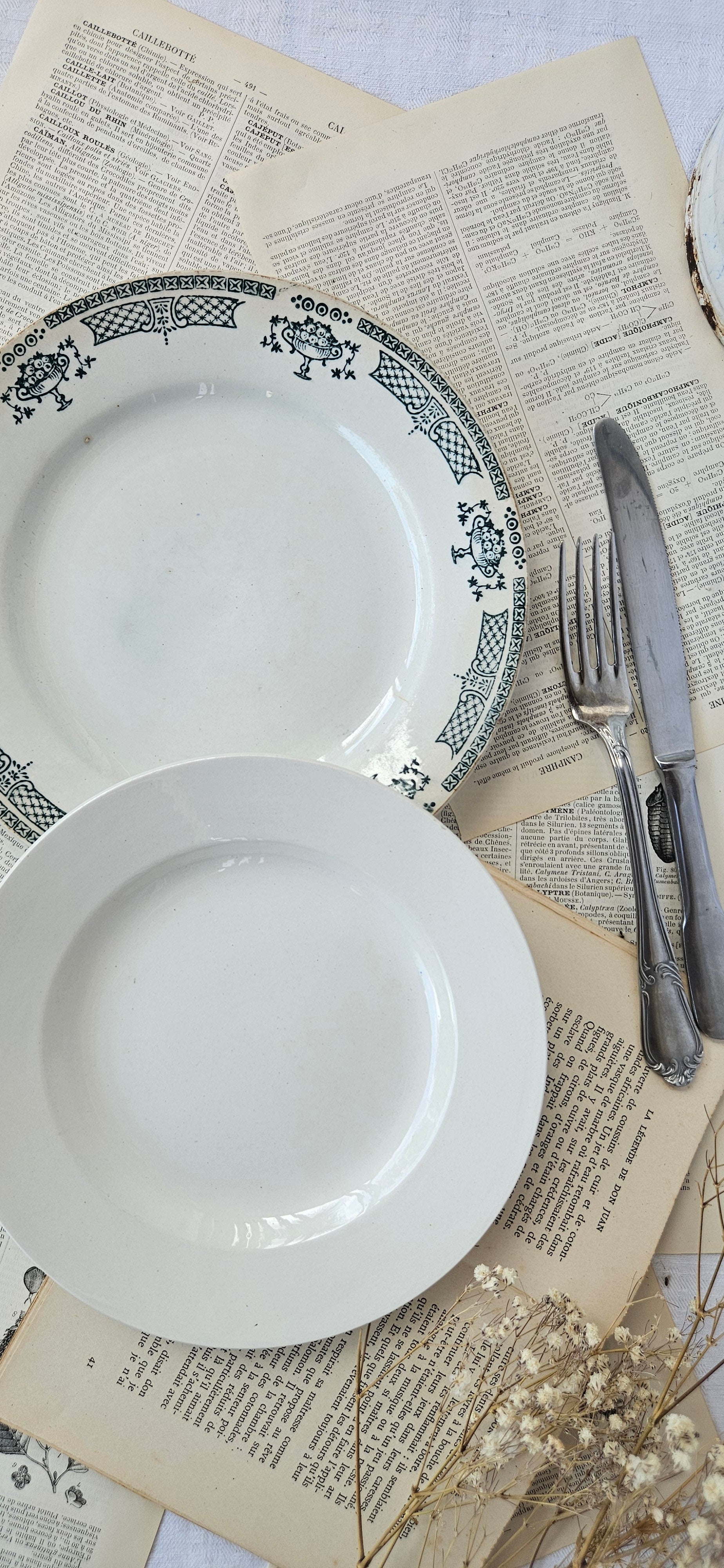 Duo d'assiettes anciennes dépareillées Saint-Amand Terre de Fer & Boch