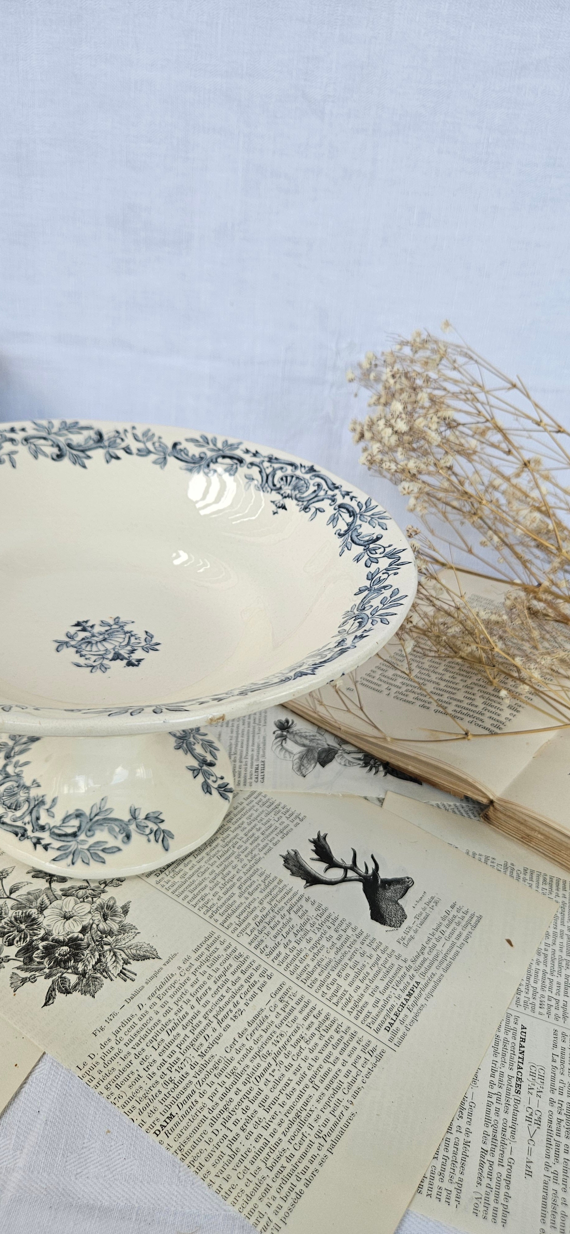 Coupe sur piédouche Longchamp ancienne bleue