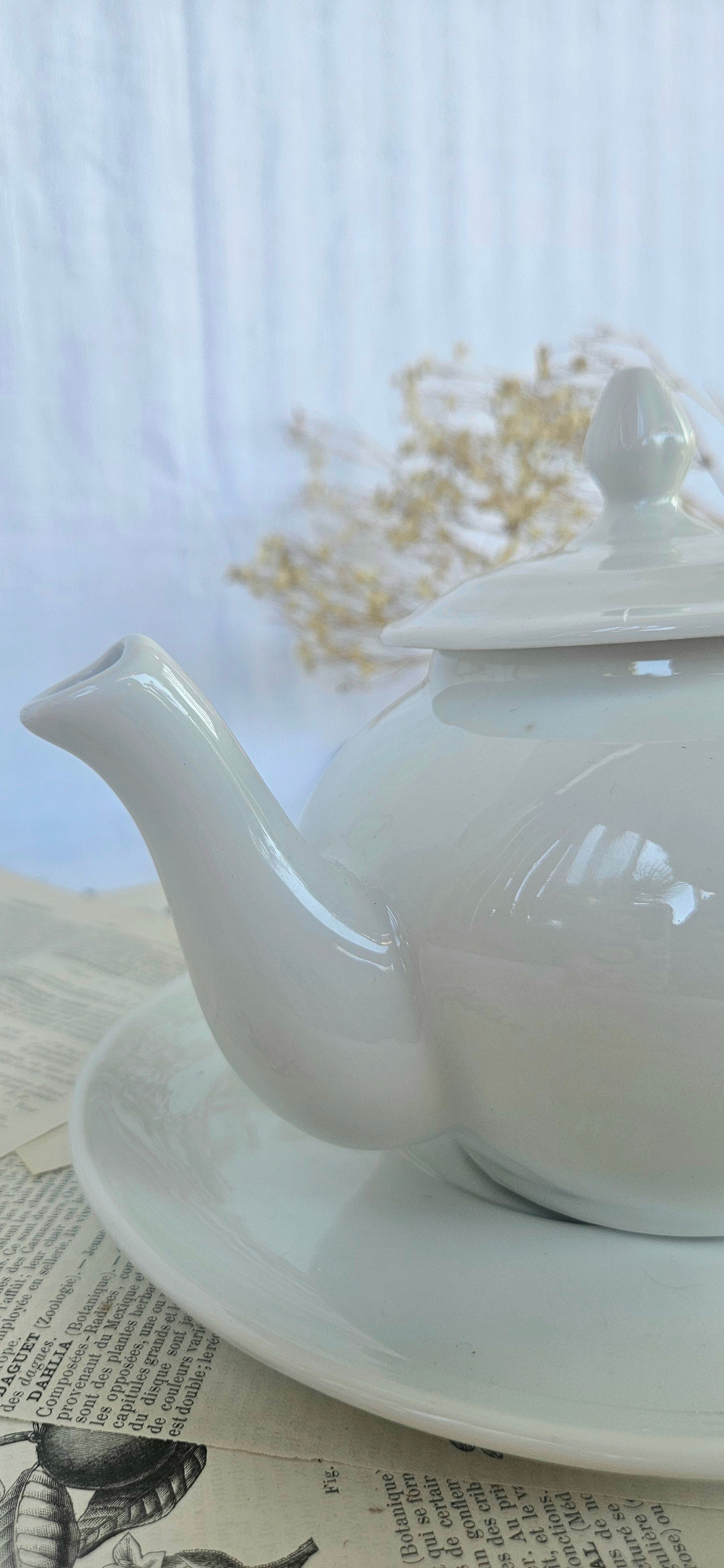 Théière vintage Apilco France avec soucoupe assortie | Porcelaine blanche | Service à thé français