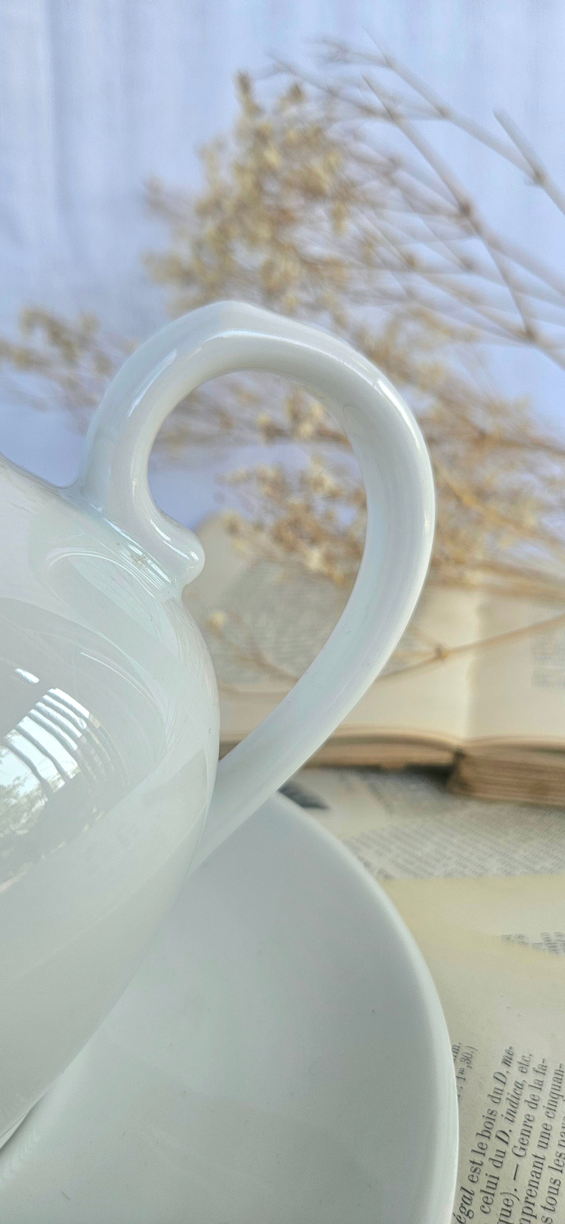 Théière vintage Apilco France avec soucoupe assortie | Porcelaine blanche | Service à thé français