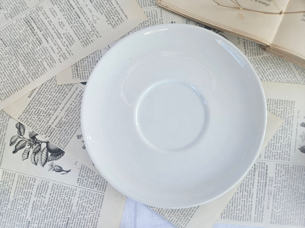 Théière vintage Apilco France avec soucoupe assortie | Porcelaine blanche | Service à thé français
