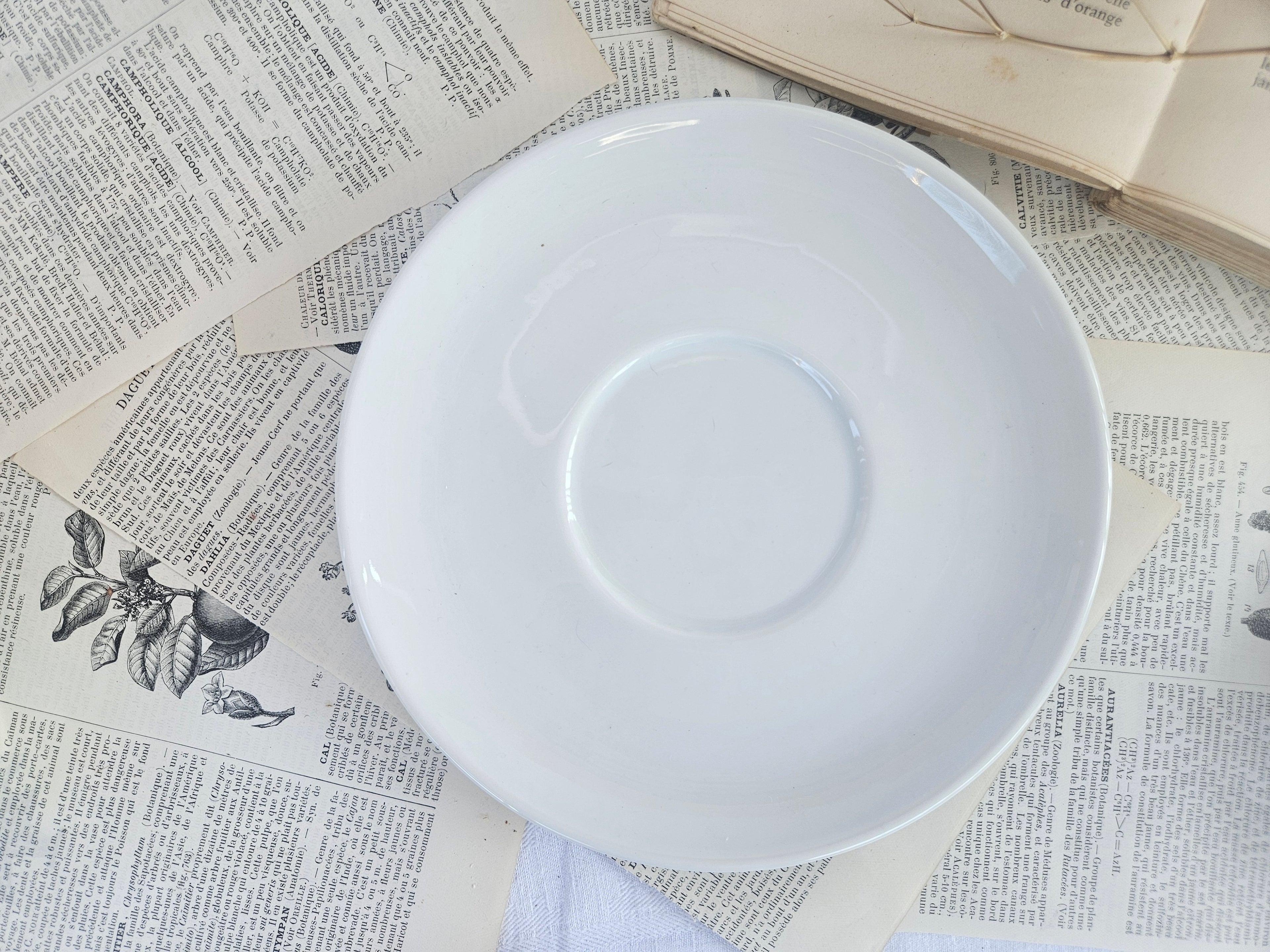 Théière vintage Apilco France avec soucoupe assortie | Porcelaine blanche | Service à thé français