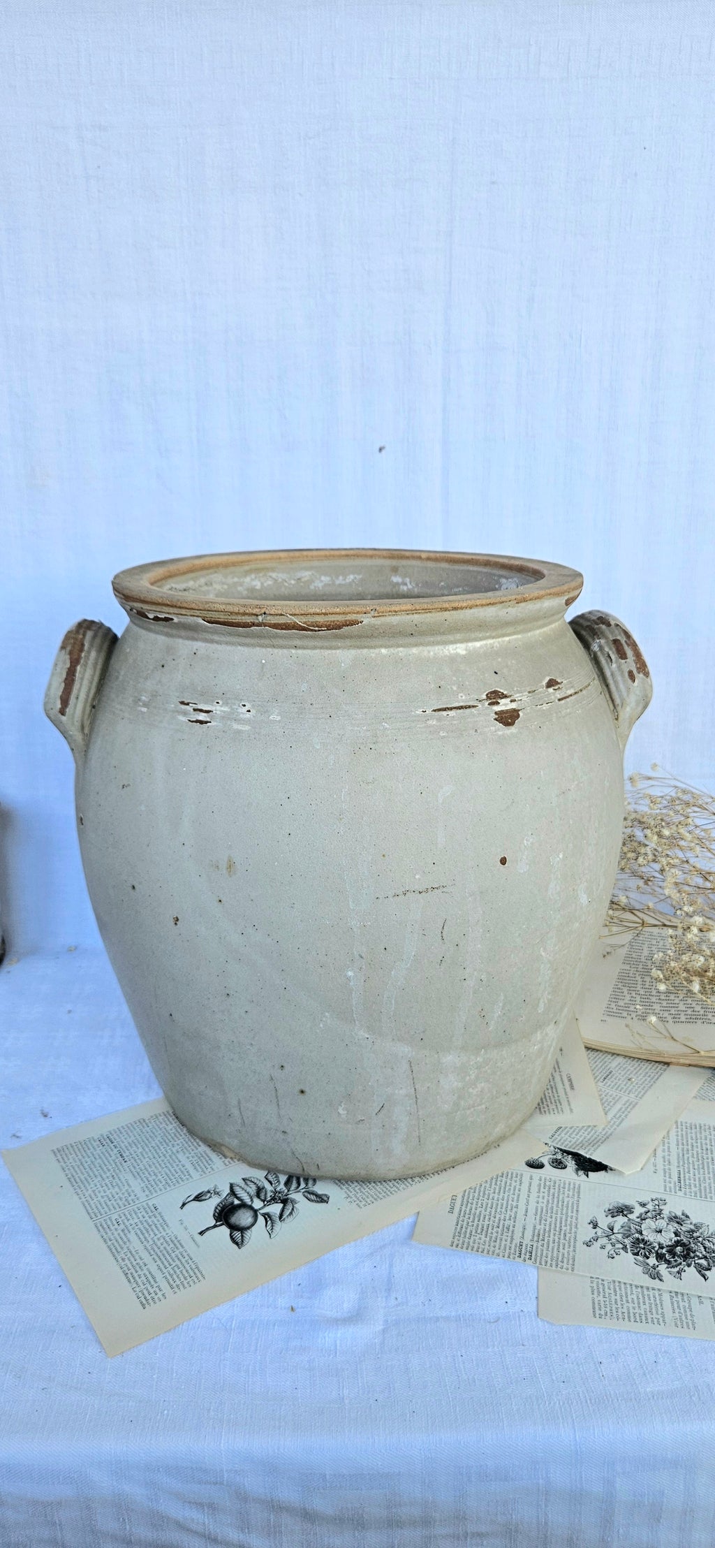 Très grand pot à confit ancien en grès français