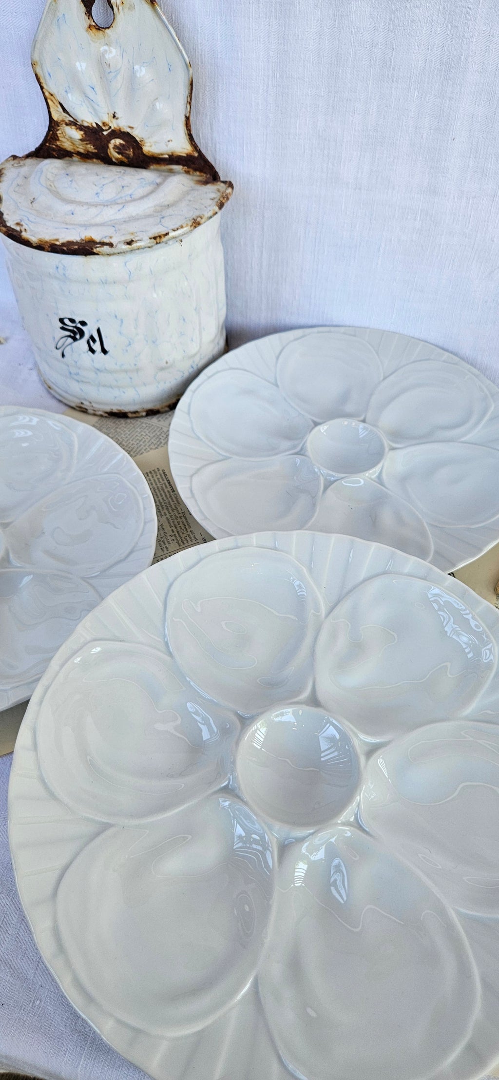 6 assiettes à huîtres Pillivuyt en porcelaine blanche
