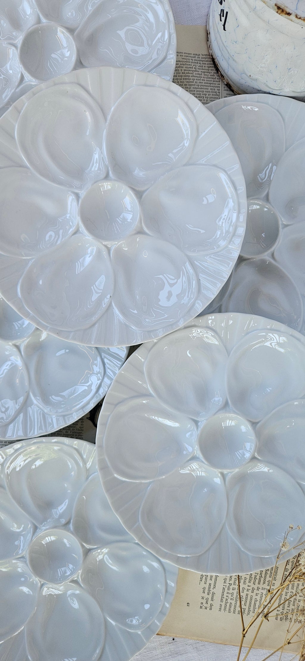 6 assiettes à huîtres Pillivuyt en porcelaine blanche