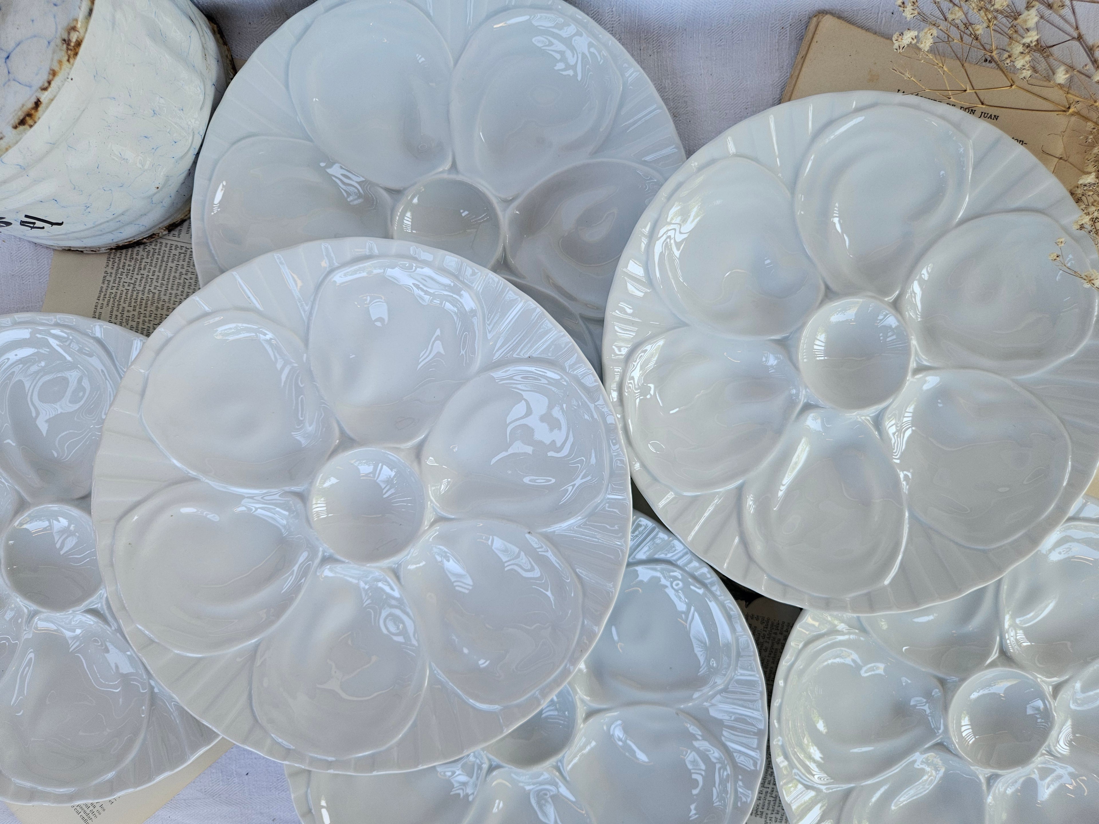 6 assiettes à huîtres Pillivuyt en porcelaine blanche