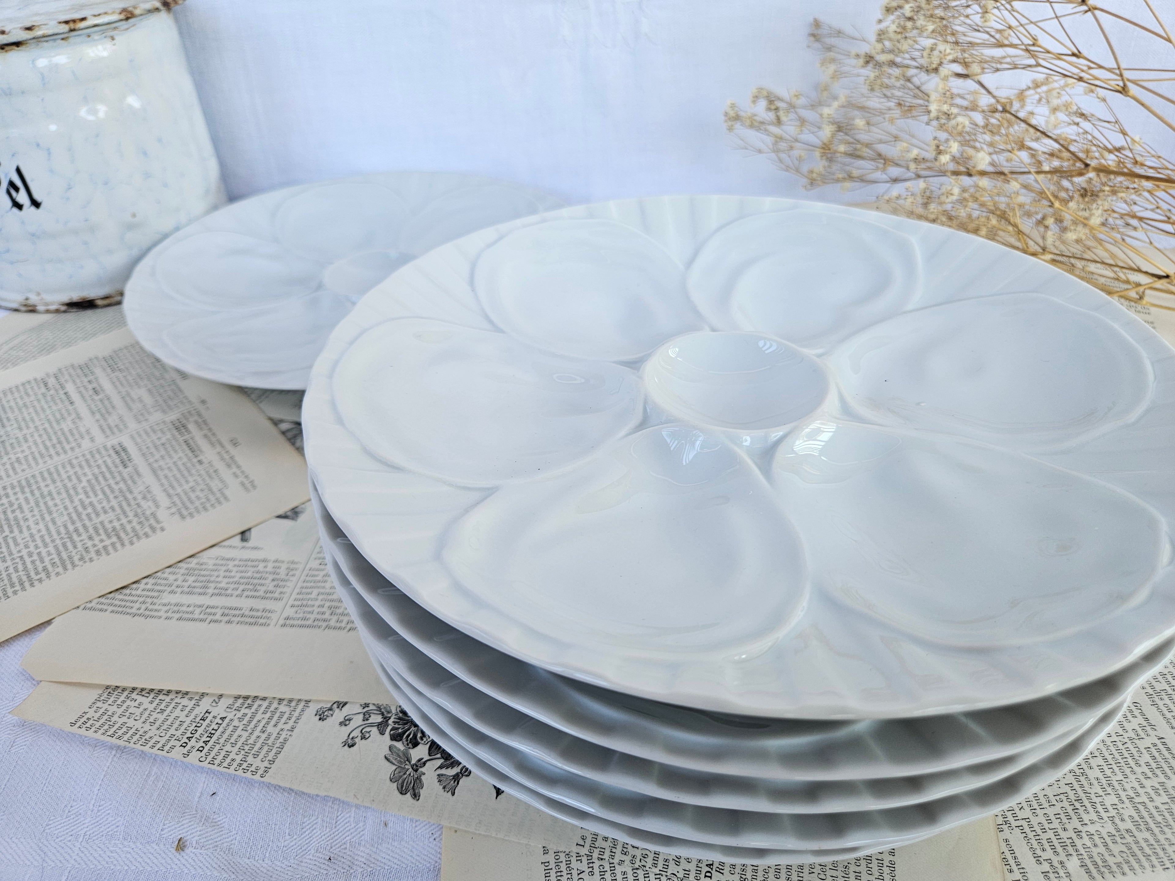 6 assiettes à huîtres Pillivuyt en porcelaine blanche