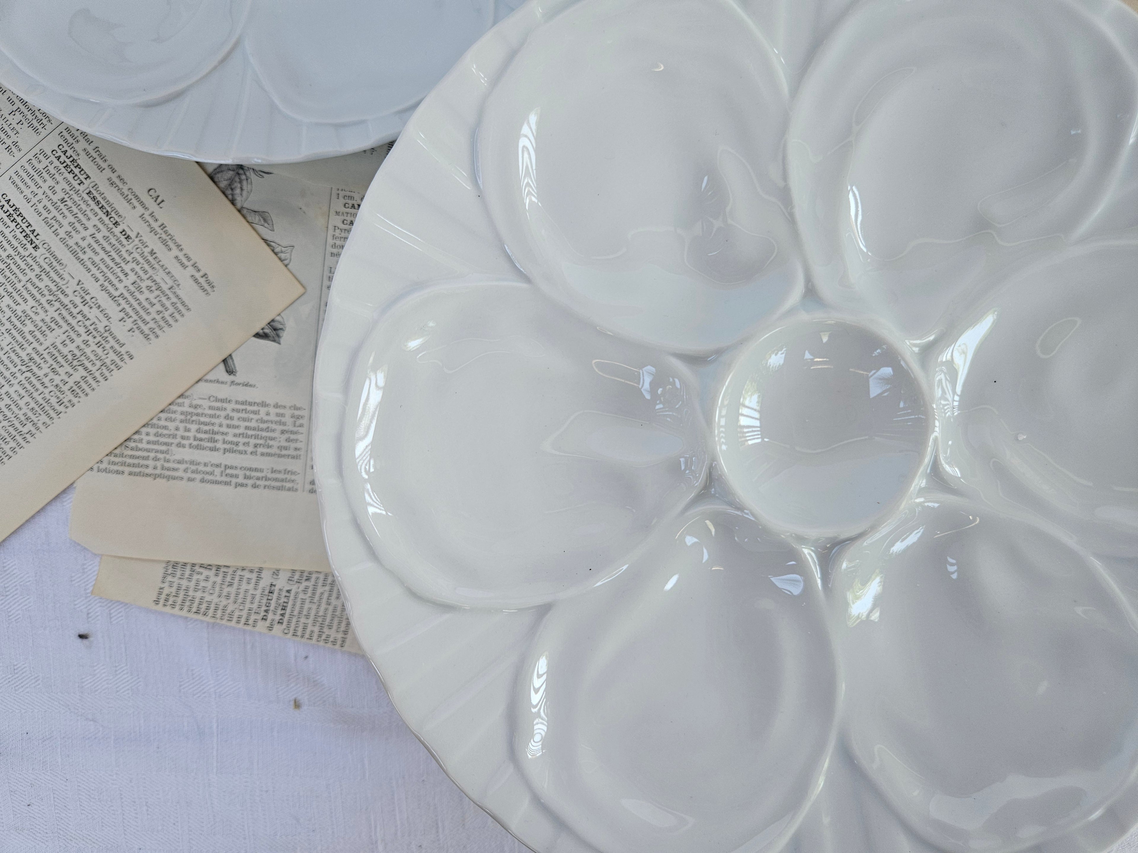 6 assiettes à huîtres Pillivuyt en porcelaine blanche