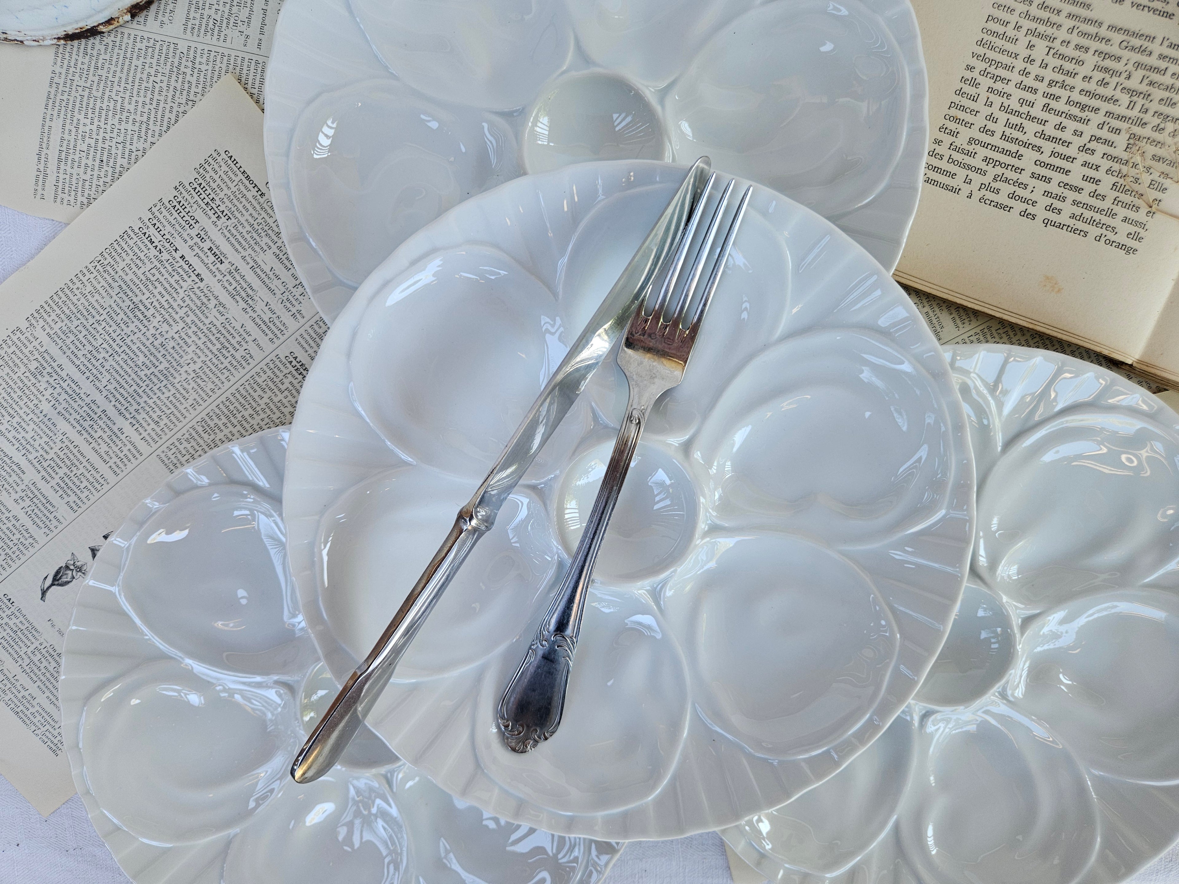 6 assiettes à huîtres Pillivuyt en porcelaine blanche