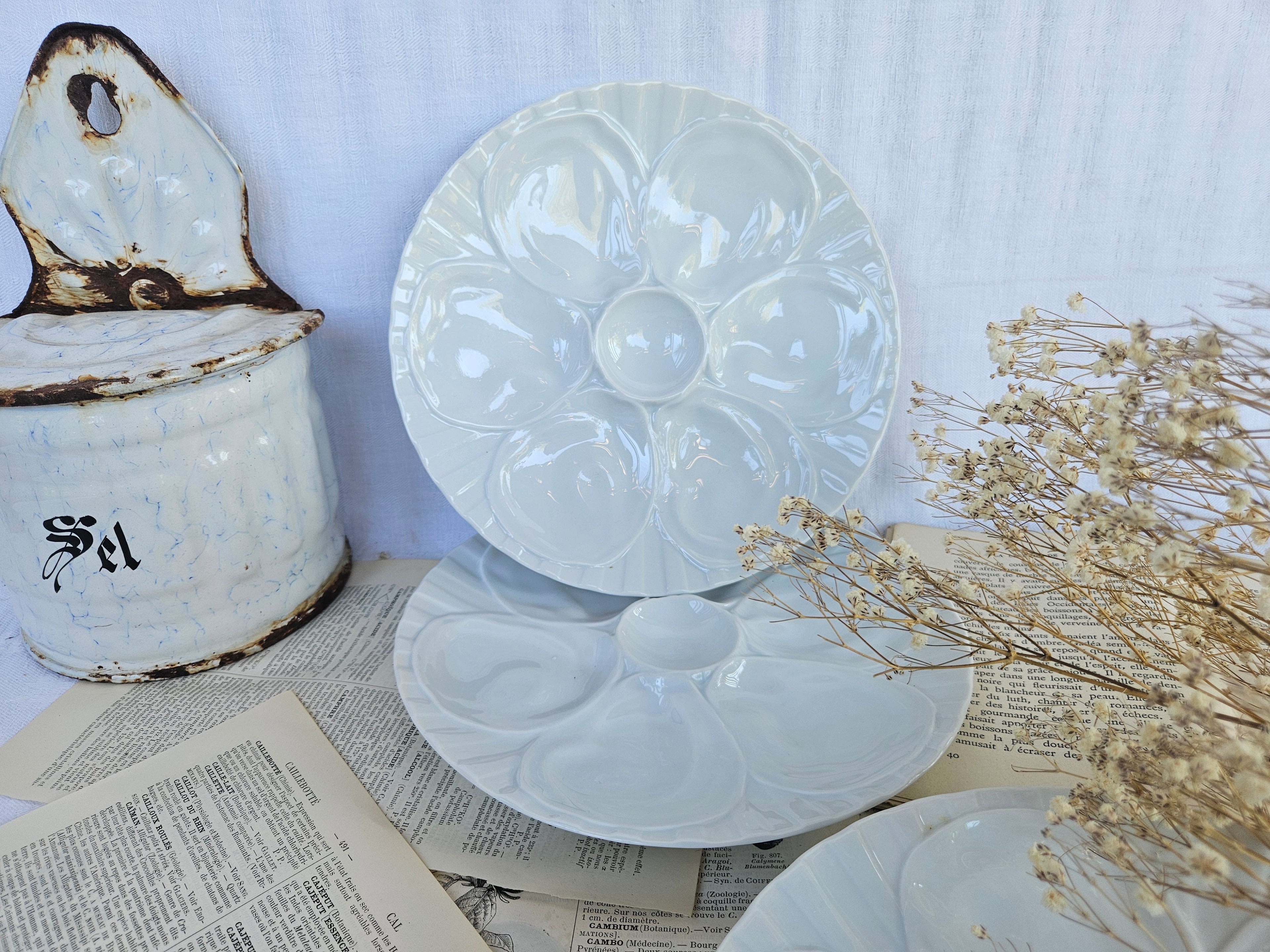 6 assiettes à huîtres Pillivuyt en porcelaine blanche