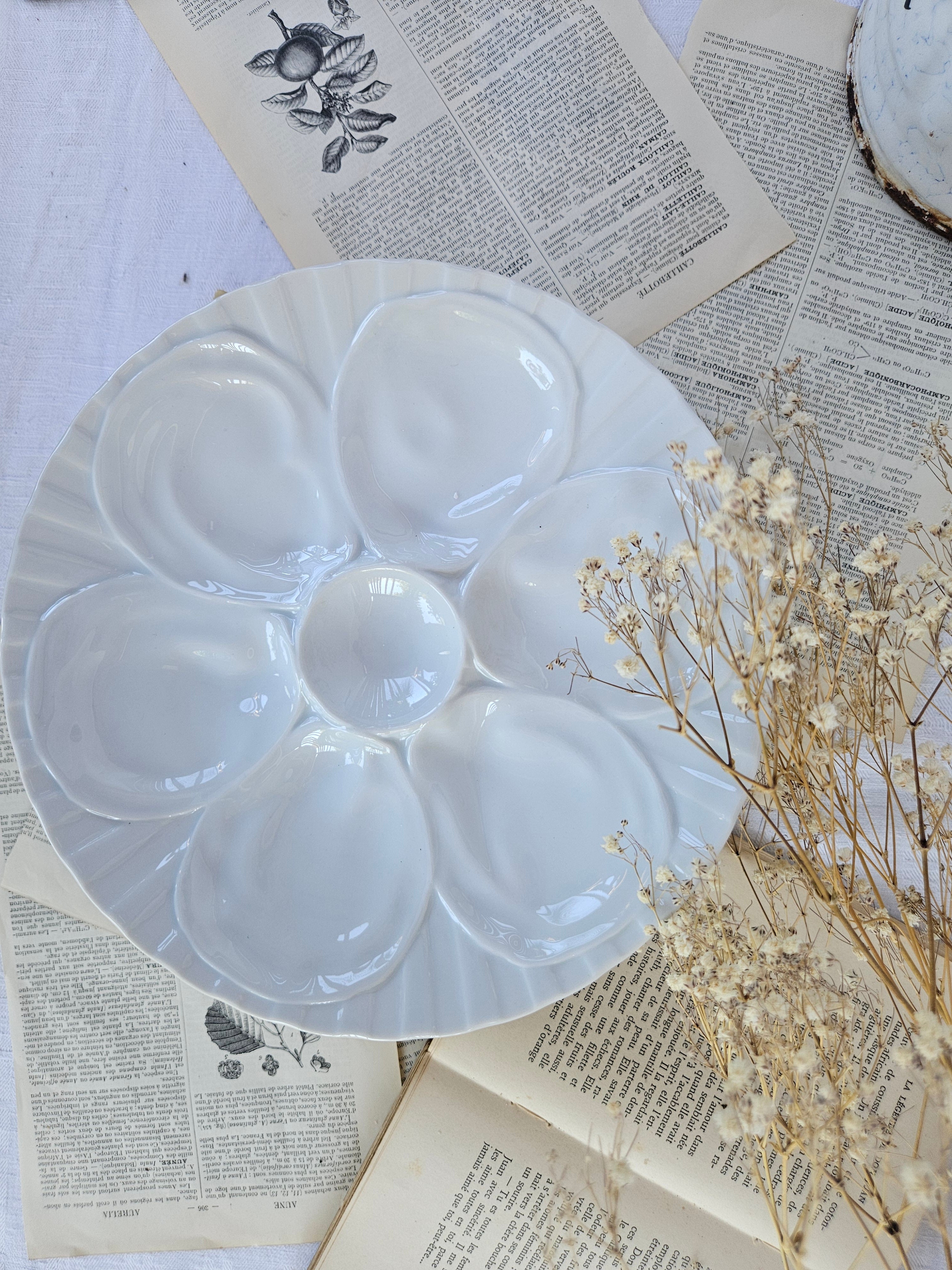 6 assiettes à huîtres Pillivuyt en porcelaine blanche