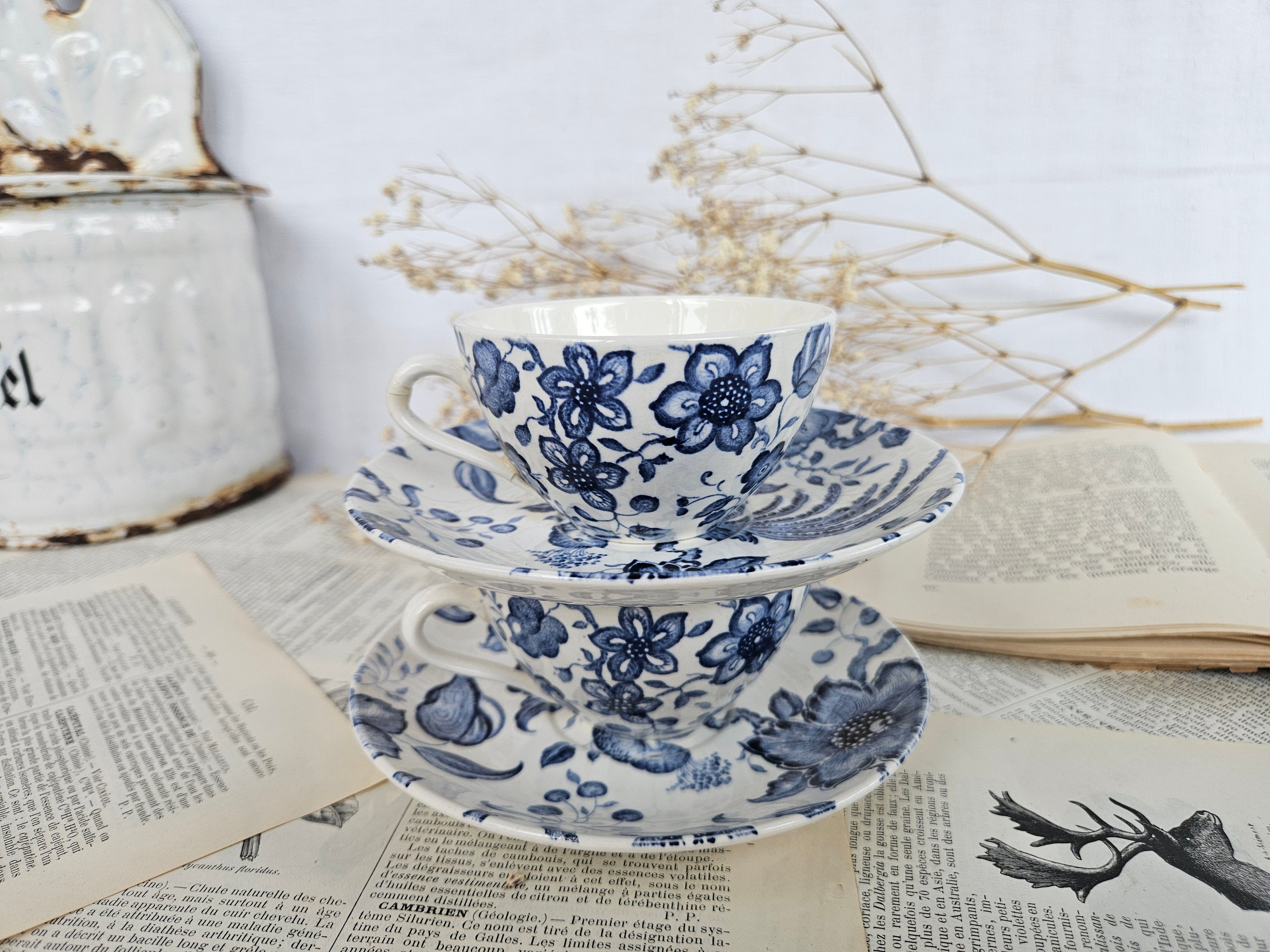 Lot de 2 tasses à café Villeroy & Boch Saar « Paradiso »