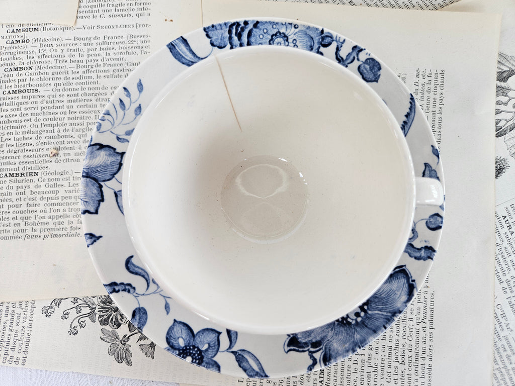 Lot de 2 tasses à café Villeroy & Boch Saar « Paradiso »