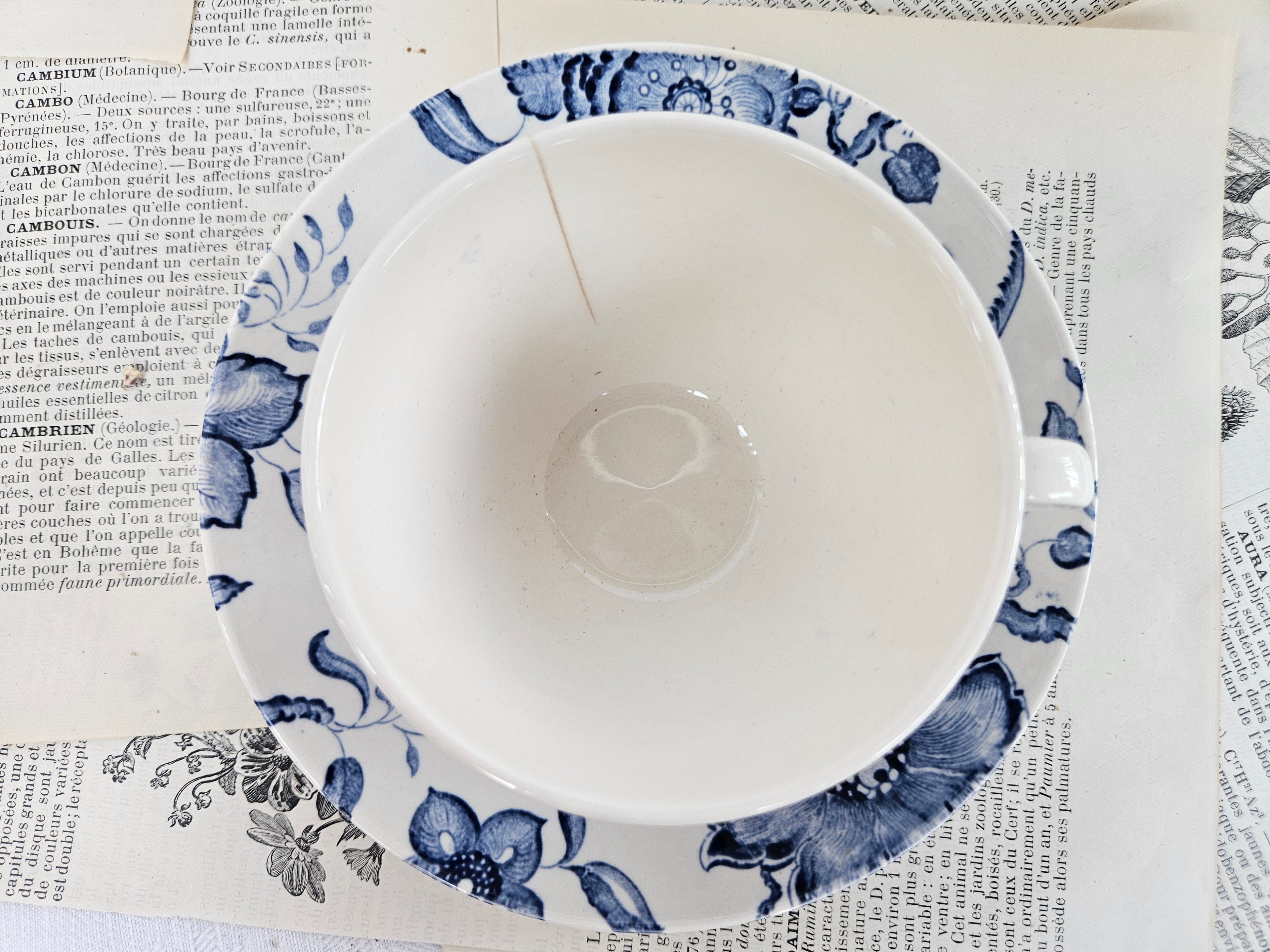 Lot de 2 tasses à café Villeroy & Boch Saar « Paradiso »