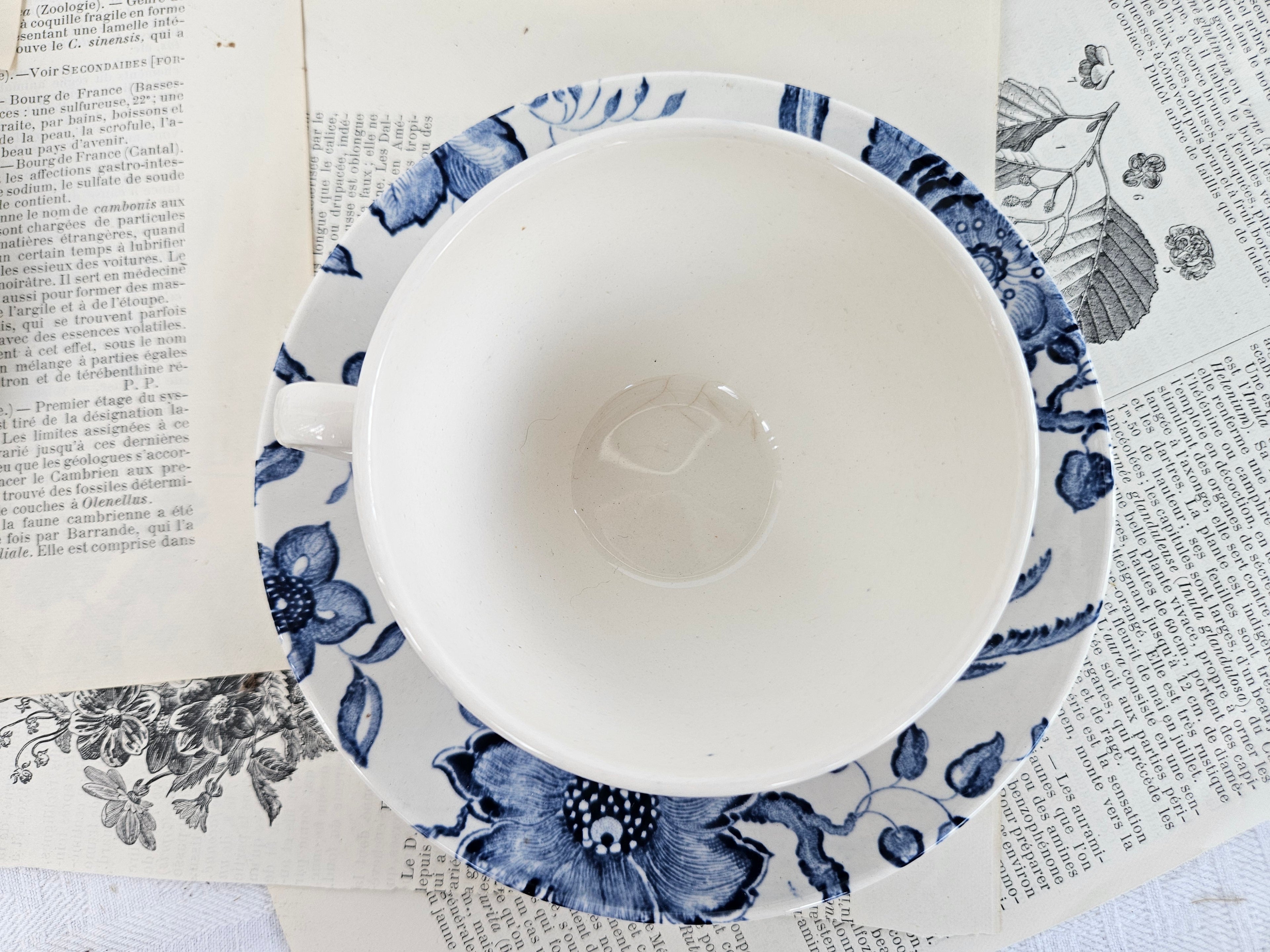 Lot de 2 tasses à café Villeroy & Boch Saar « Paradiso »